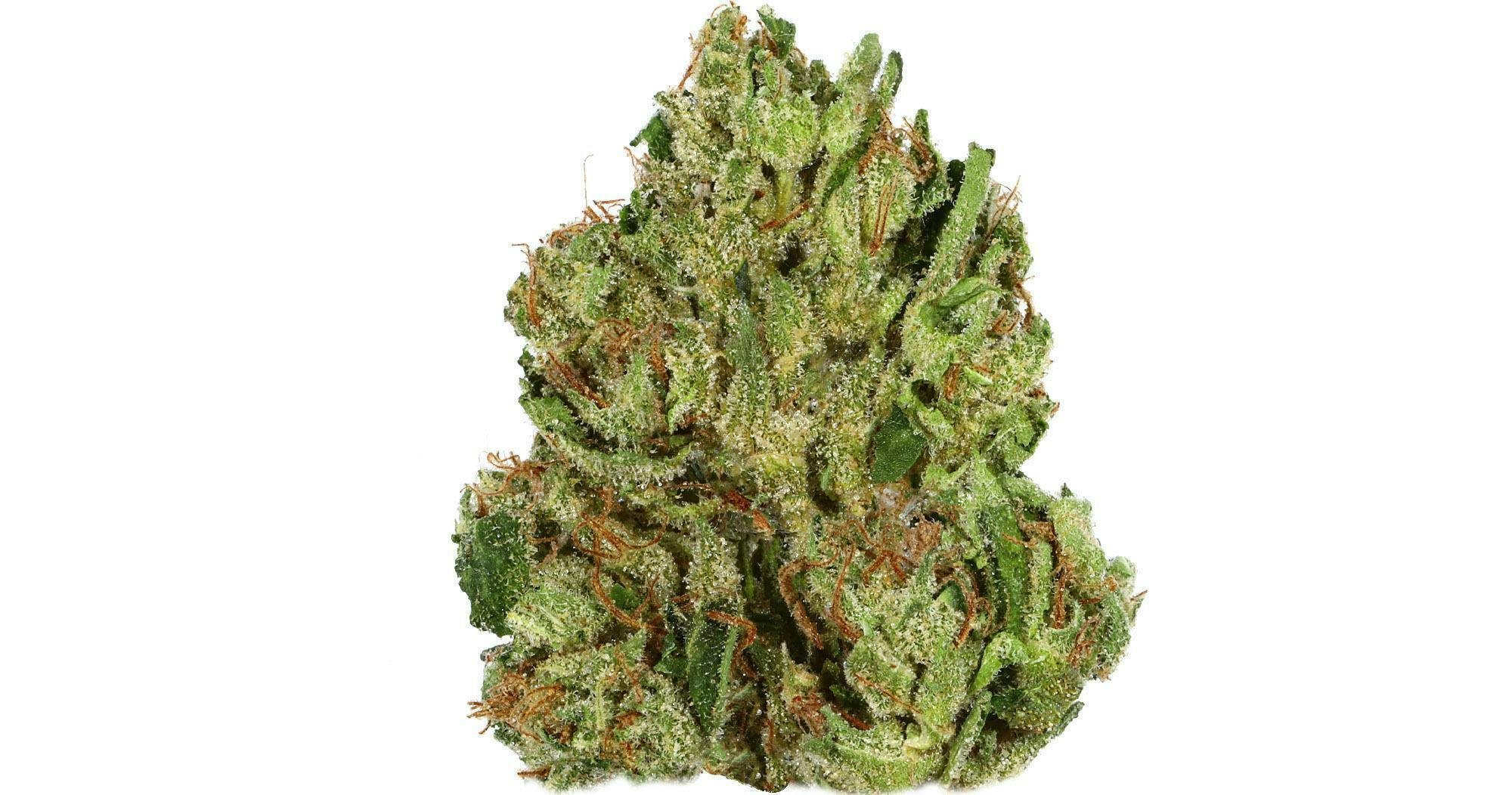 Lemon Cherry Gelato -Quarters (7g) - image 1
