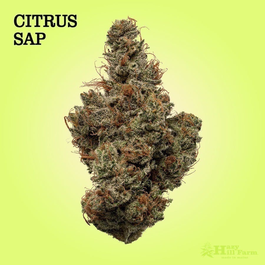 Citrus Sap - image 1