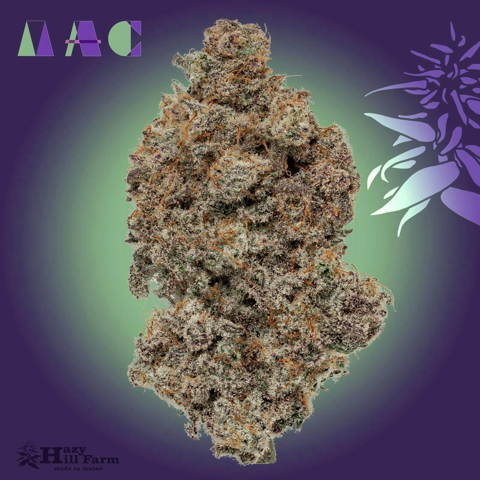 MAC1 - Miracle Alien Cookies - image 1
