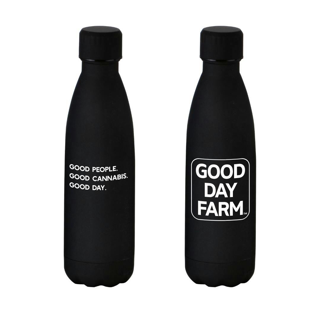 GDF: Merch | Stainless Steel Water Bottle - image 1