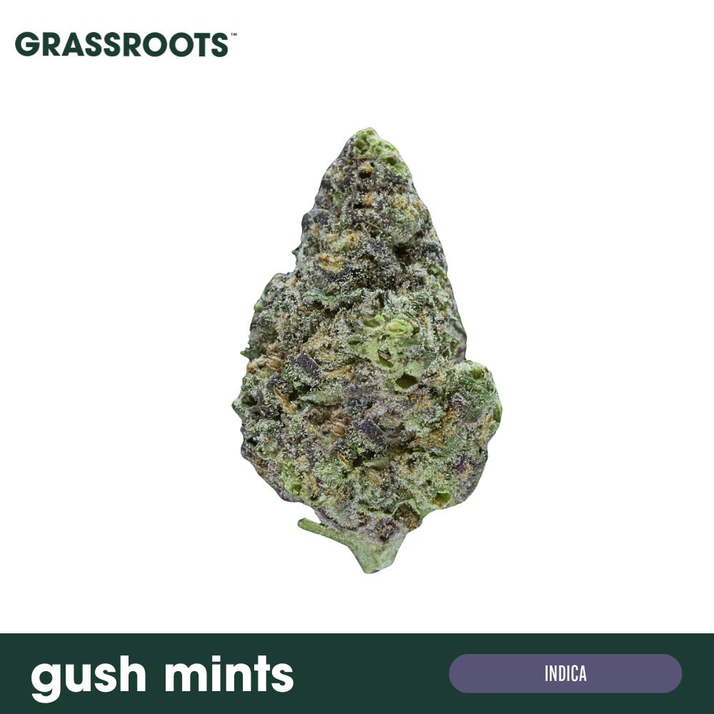 Gush Mints Flower - image 1