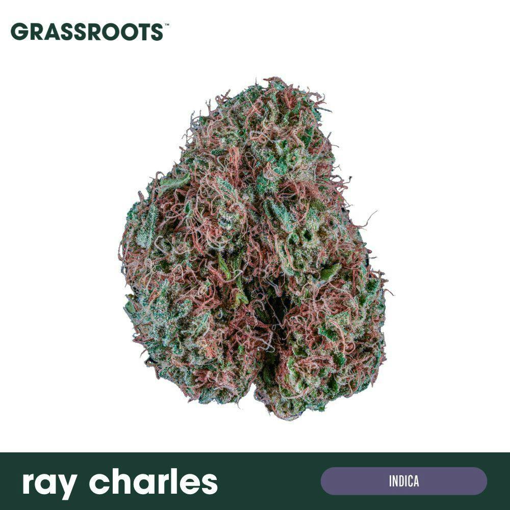 Ray Charles Flower - image 1