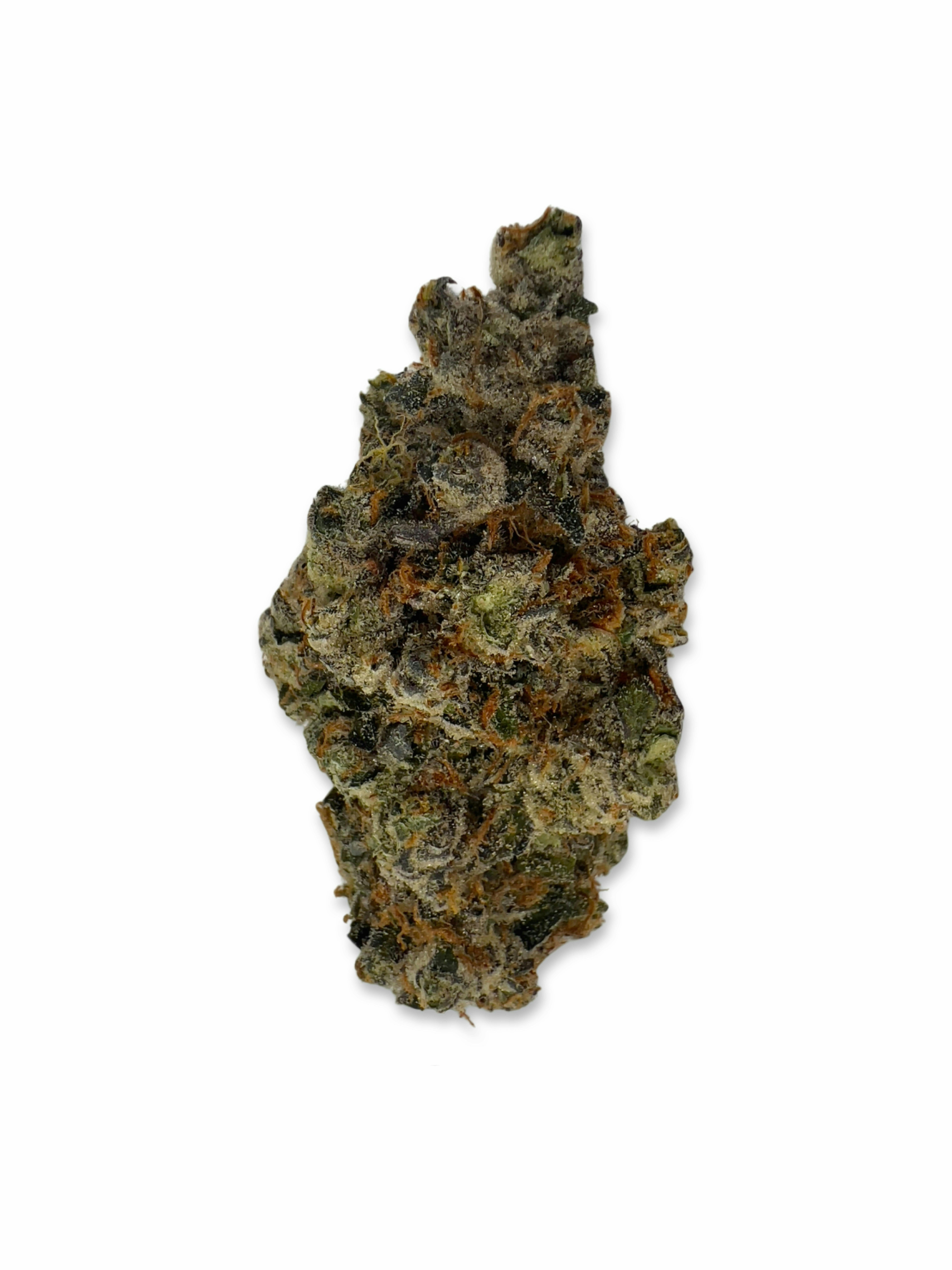 Champ Papi #3 - Oasis - image 1