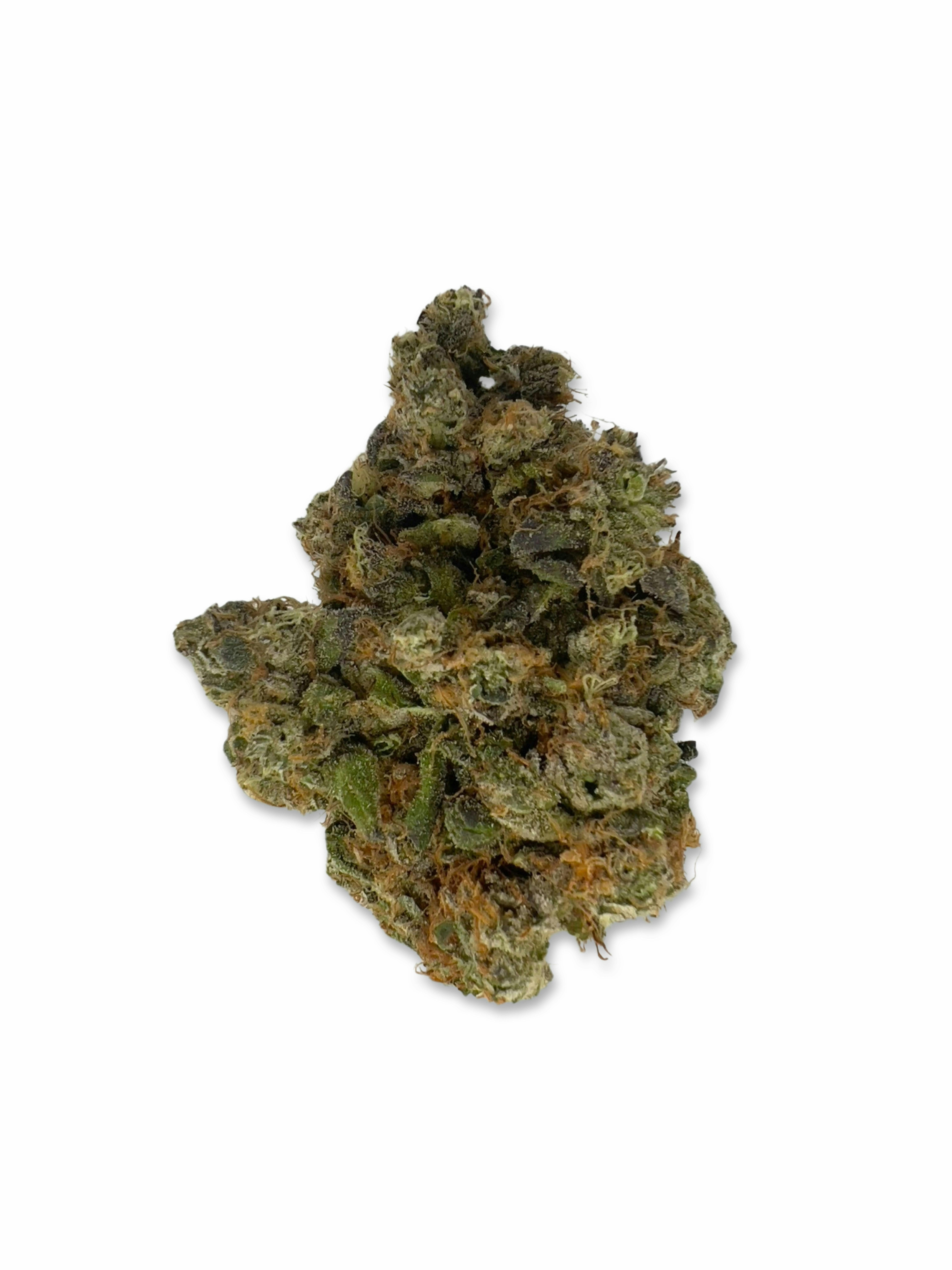 Citrus Scout - Jar Co - image 1