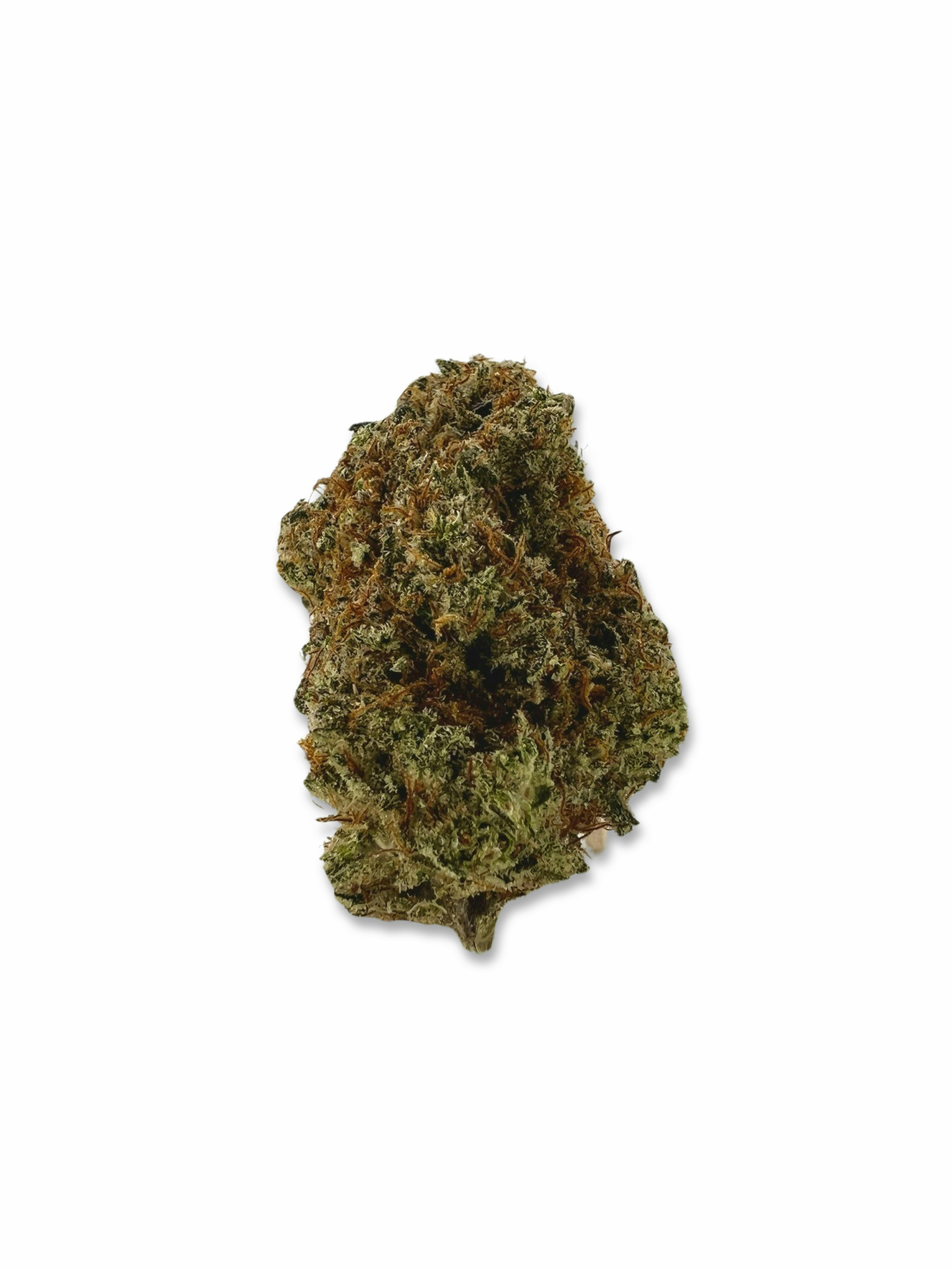 Clementine - Indico - image 1