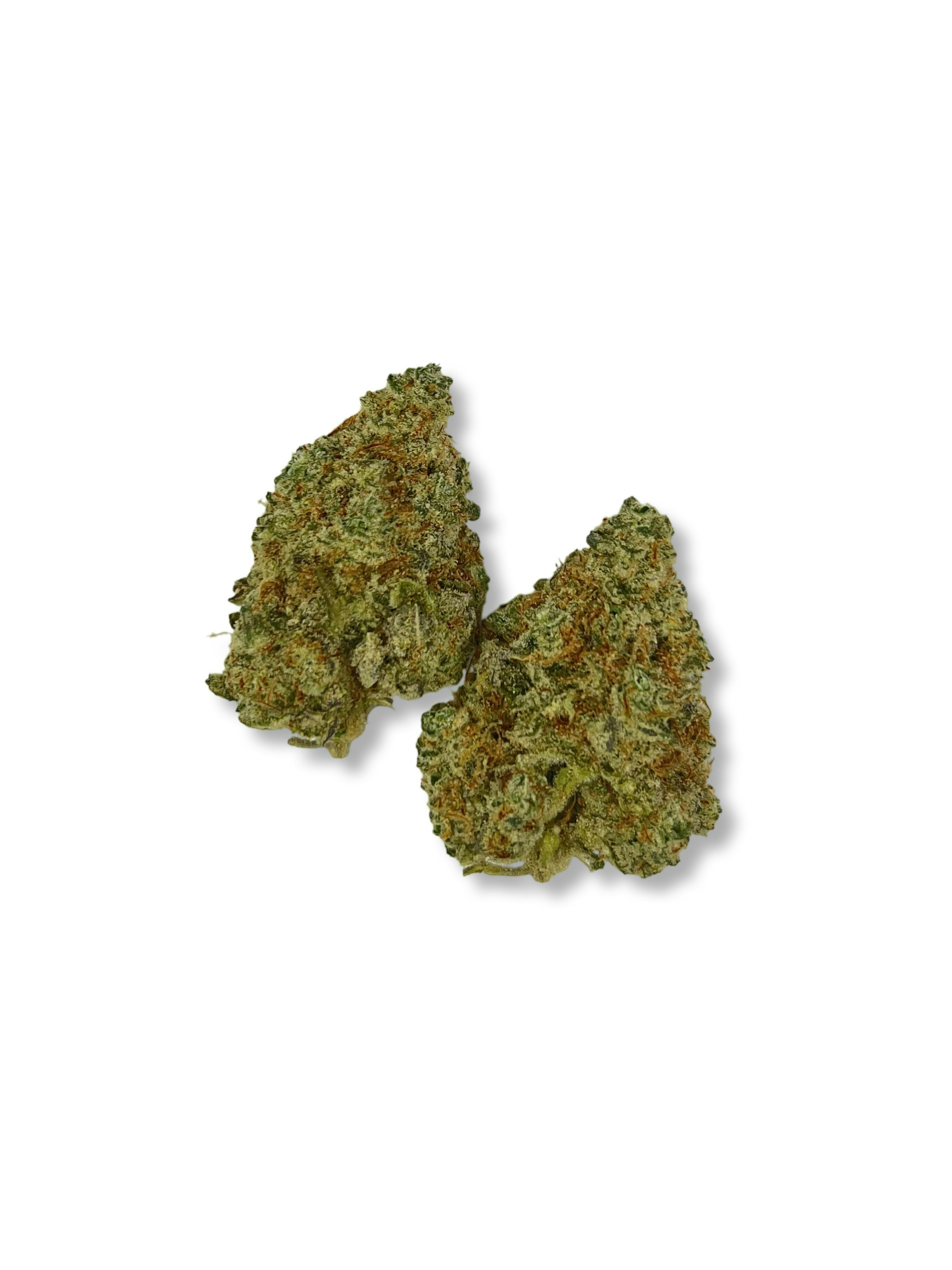 Crescendo - Casco Botanicals - image 1