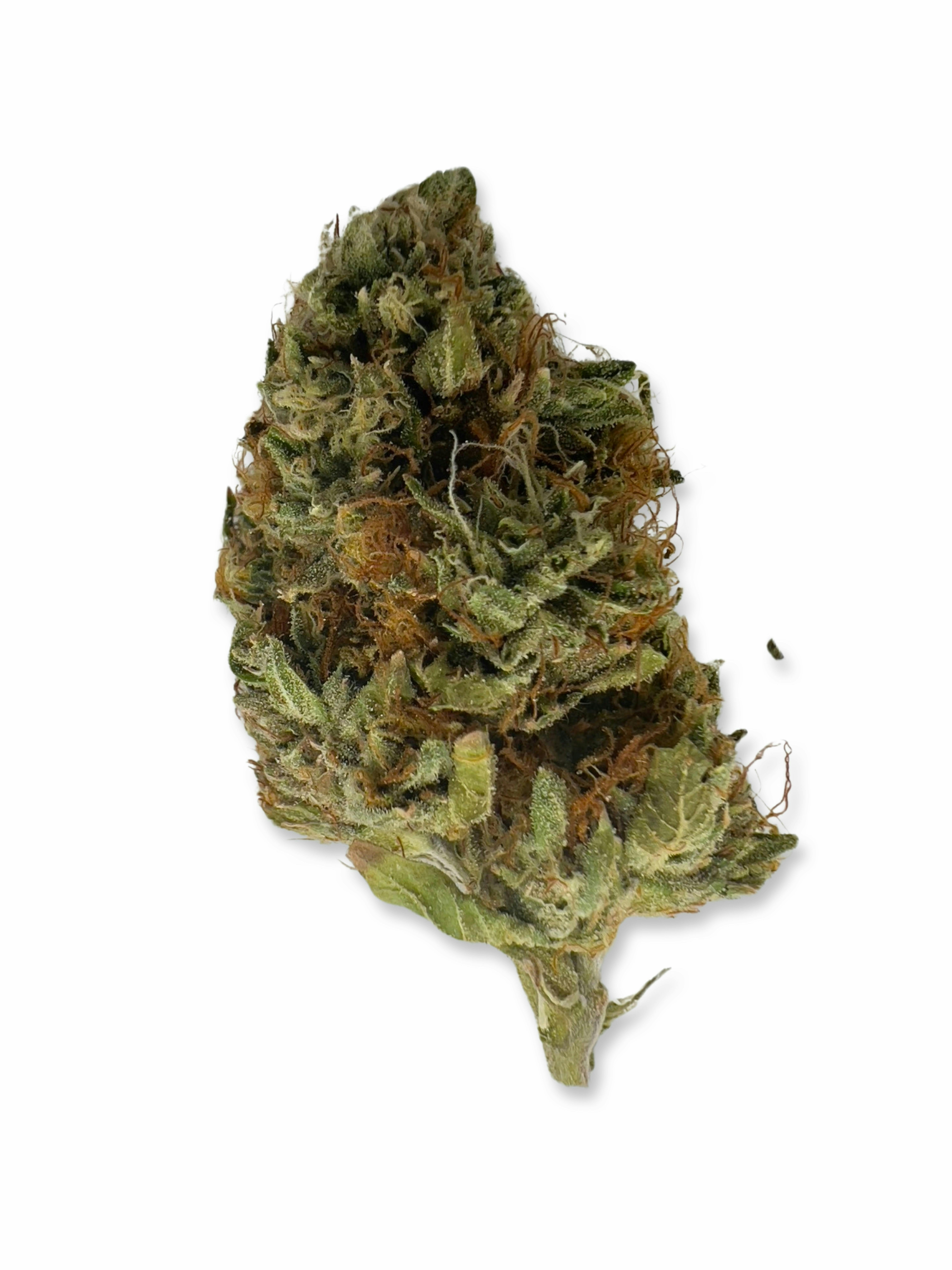Death Coast - Pine Tree Apothecary - image 1