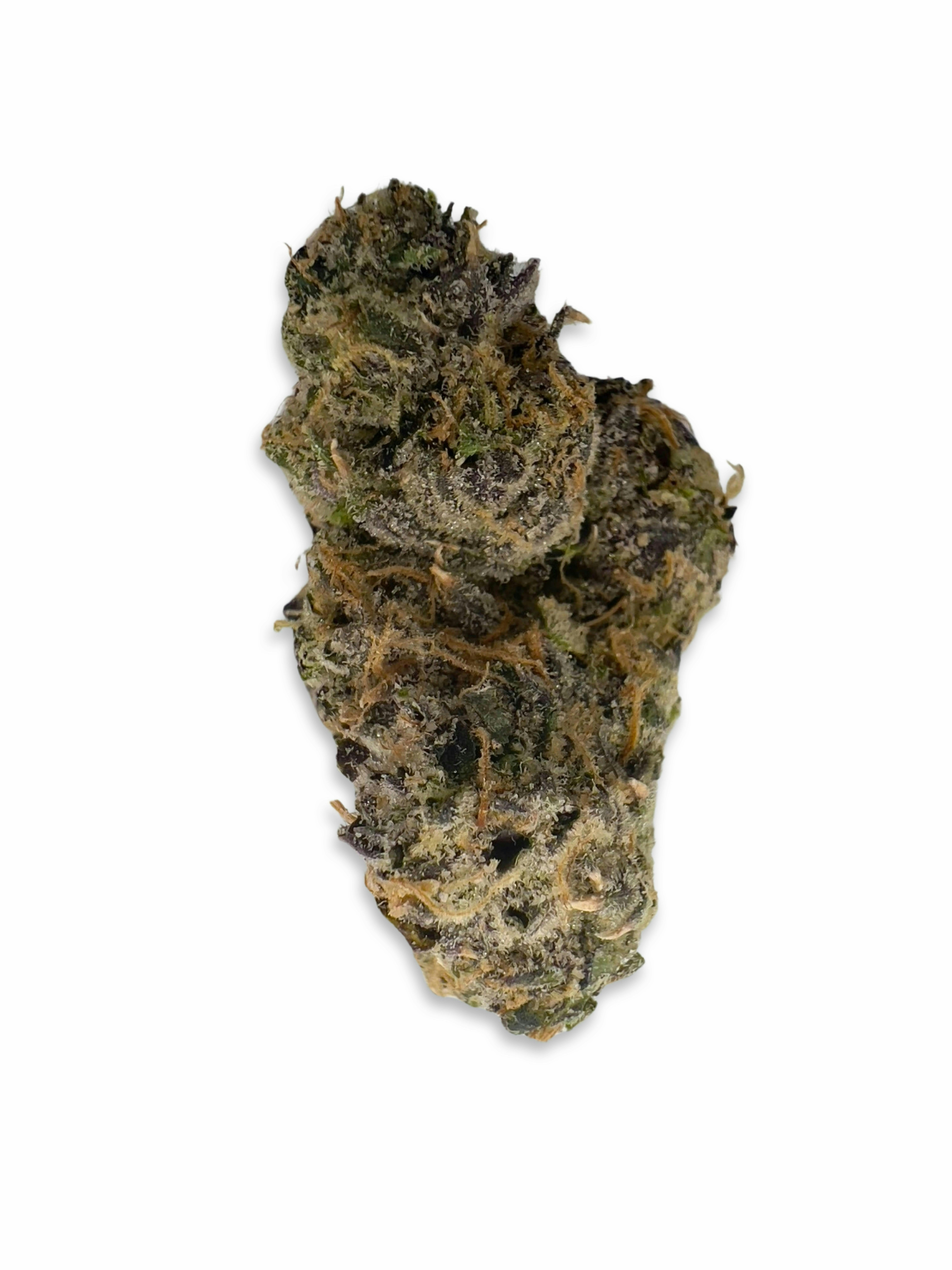 Eternity -Bungludetch Farms - image 1