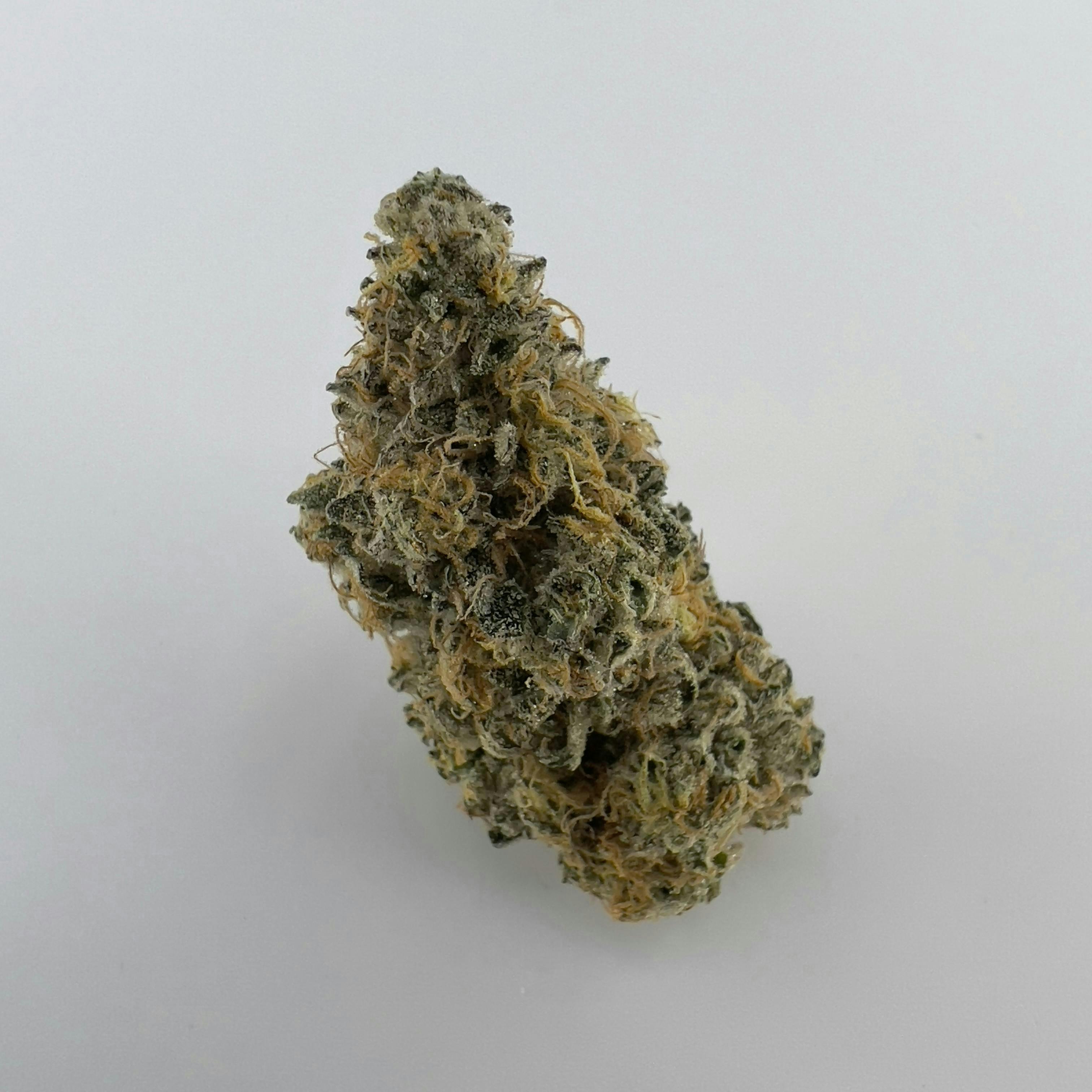 Ice Cream Cake - Windhill Organics - image 1
