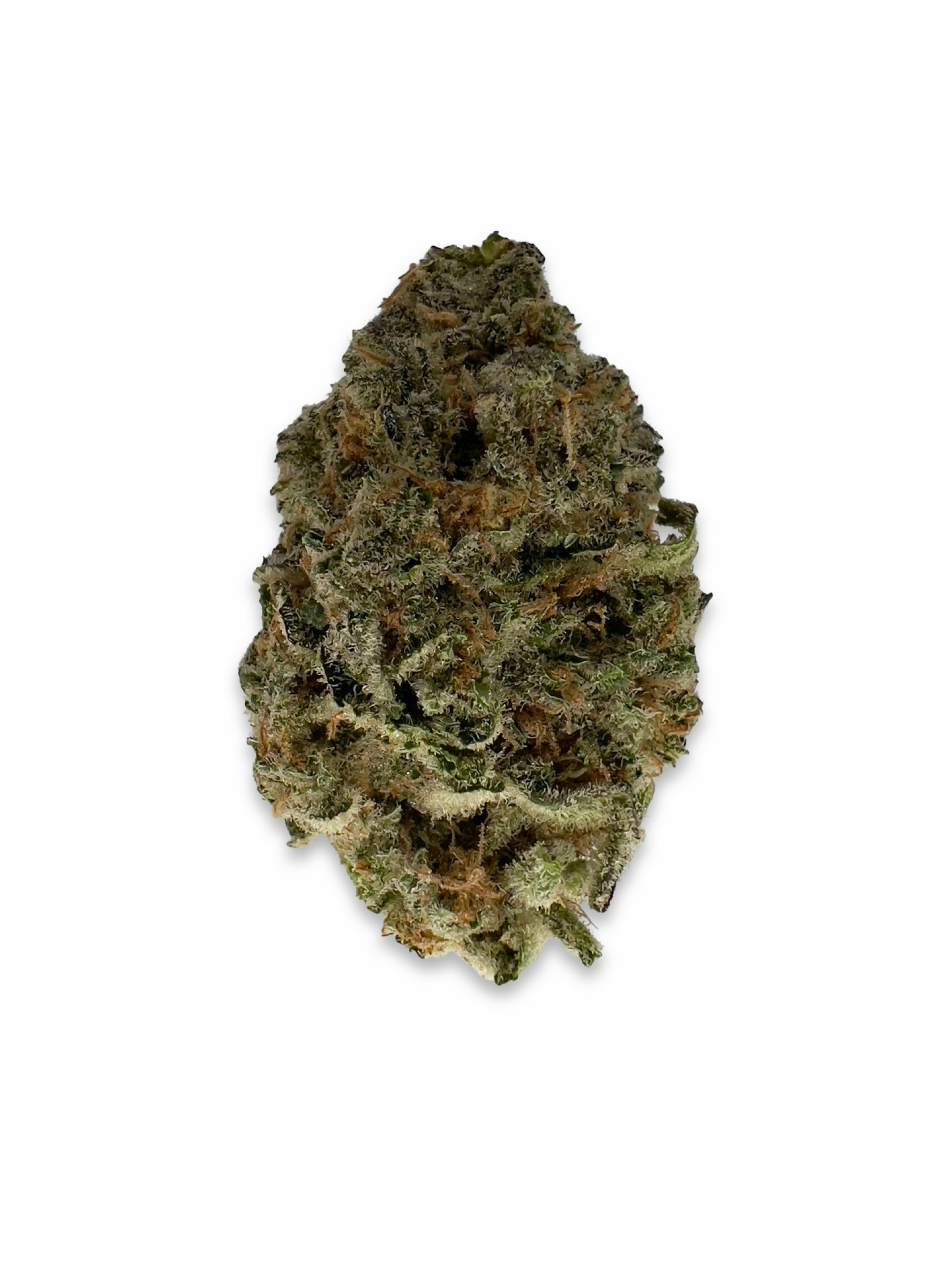 Lilac Diesel - Casco Botanicals - image 1