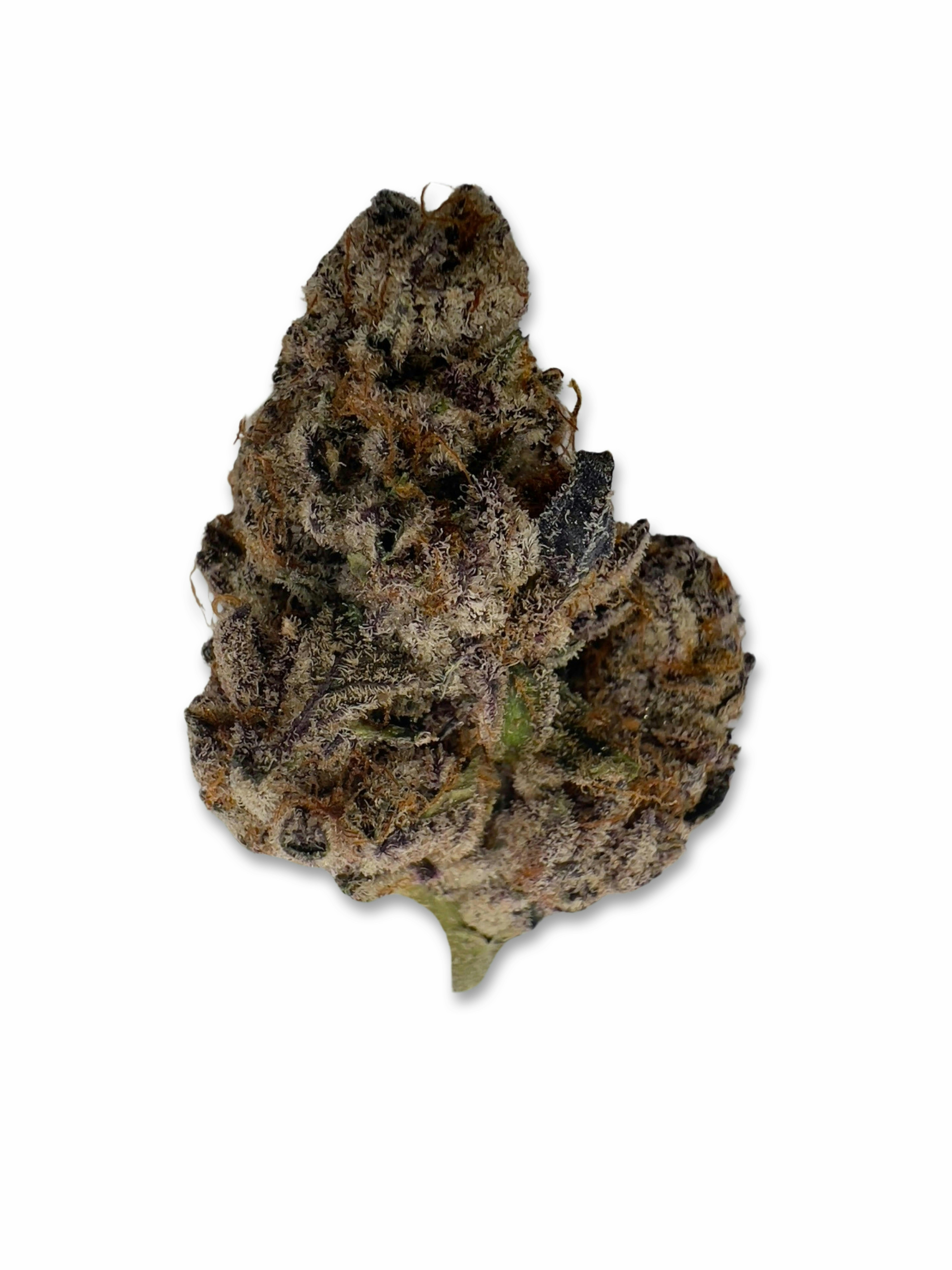 Rampage - Pine Tree Apothecary - image 1