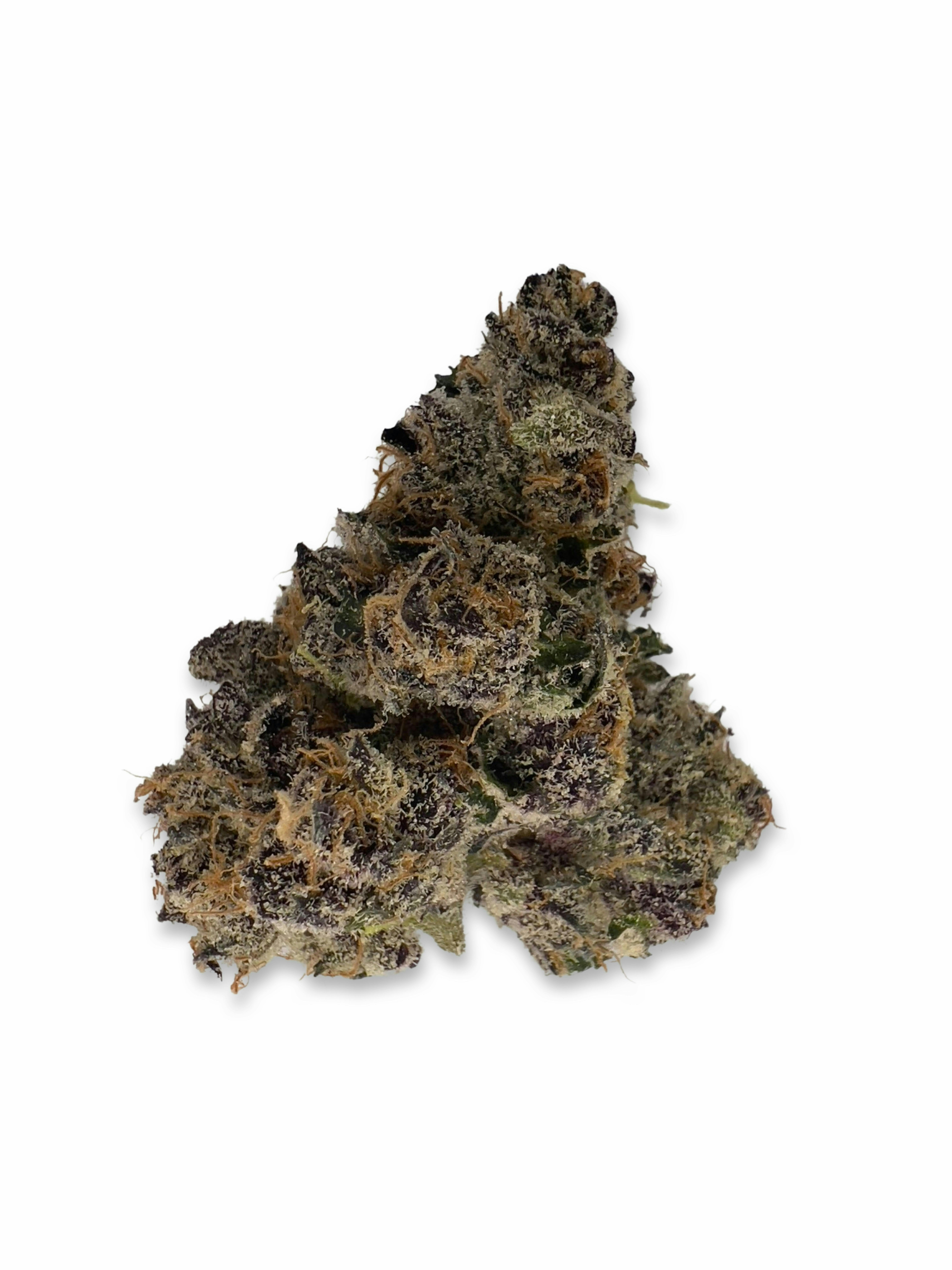 Sherb'n'Runtz- Bungludetch Farms - image 1