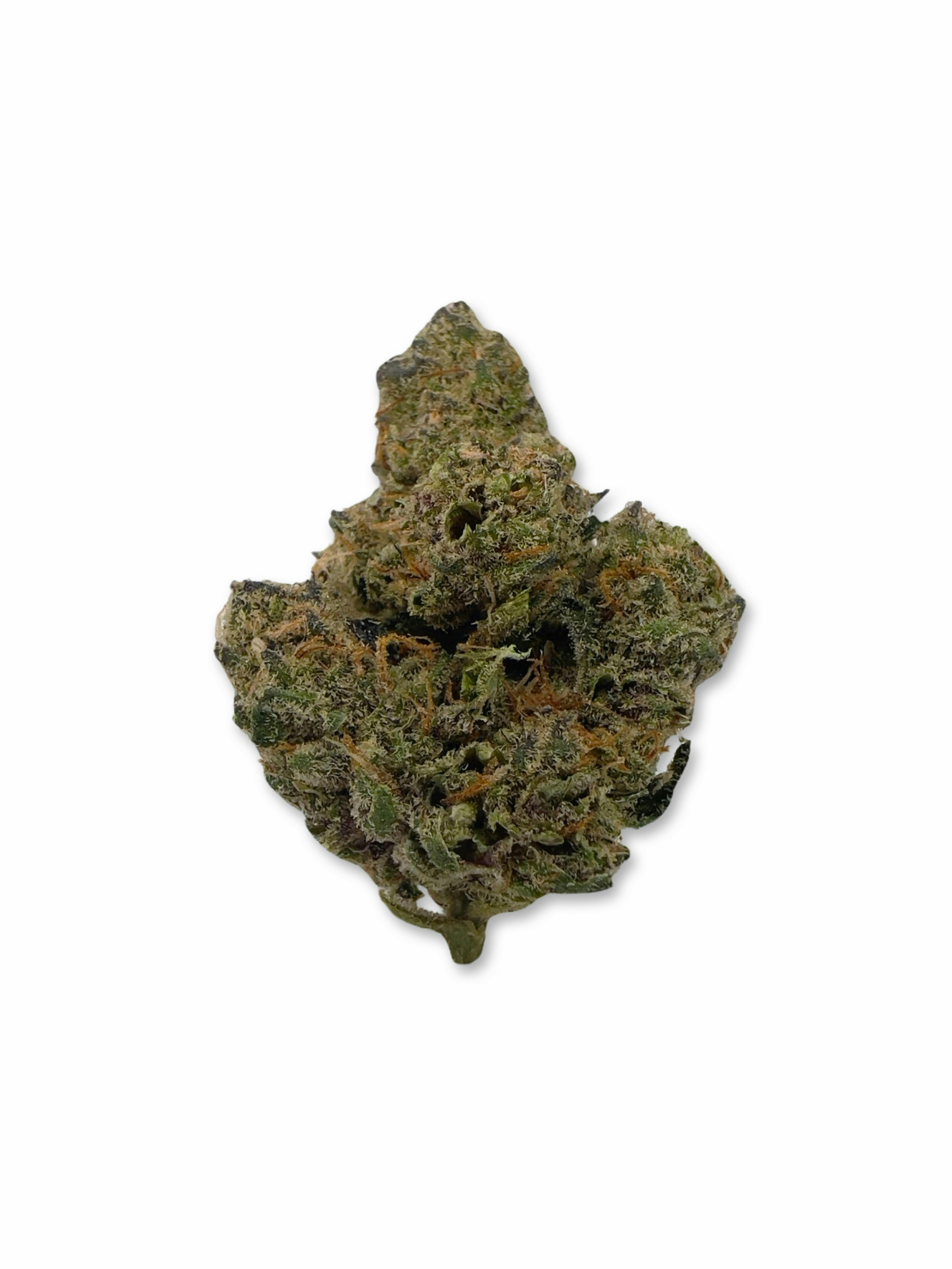 Sugar Puss - Supreme Gardens - image 1