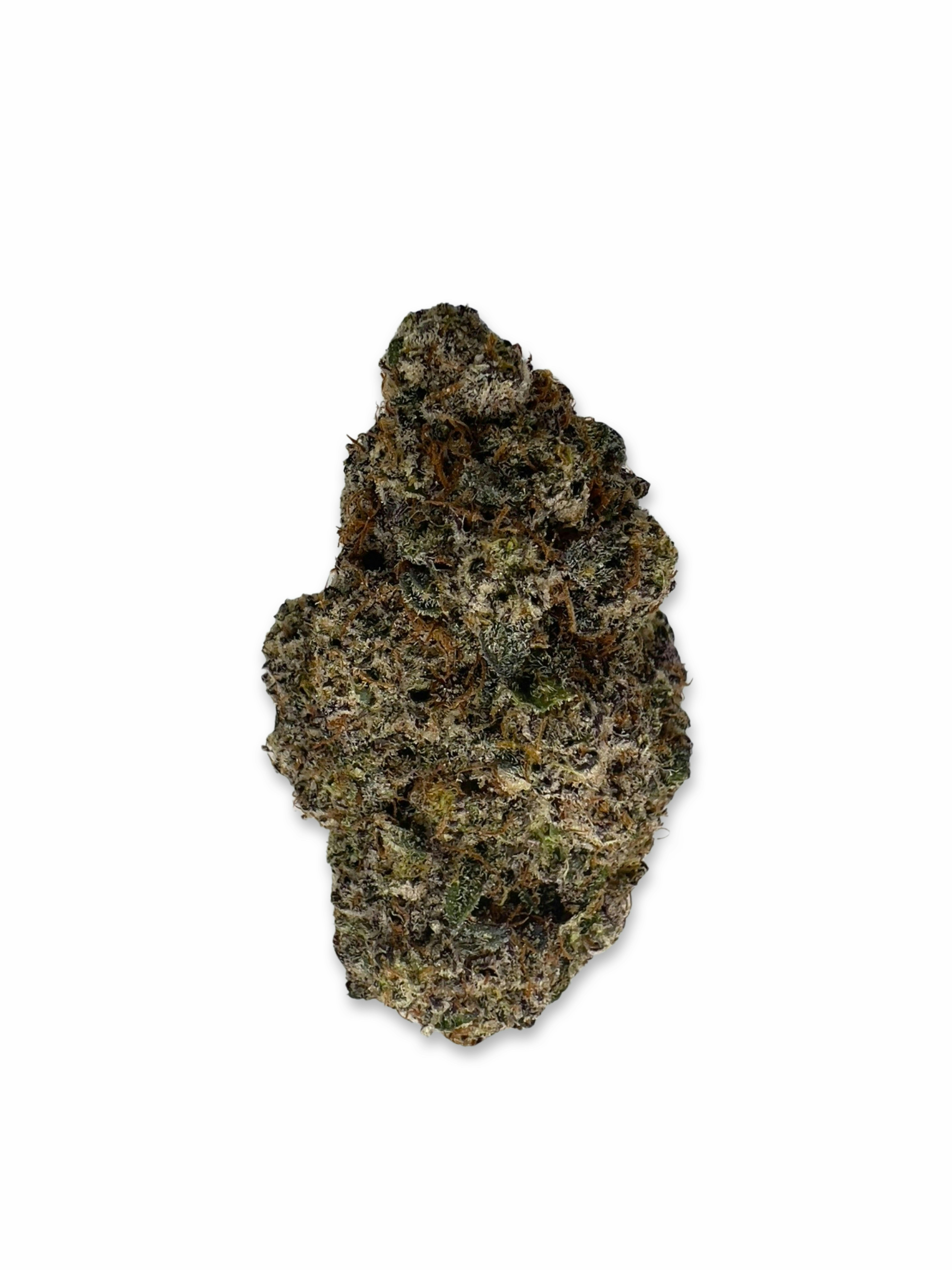 Vanilla Cream Pie - New Horizons - image 1