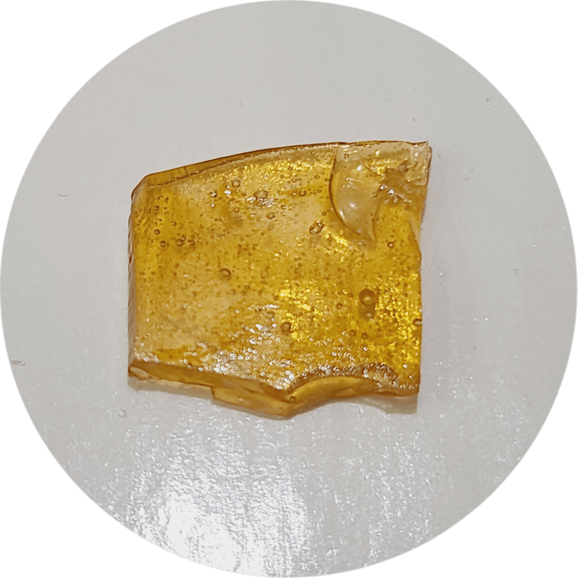Fatso Jungle Belts (H) - Shatter - image 1