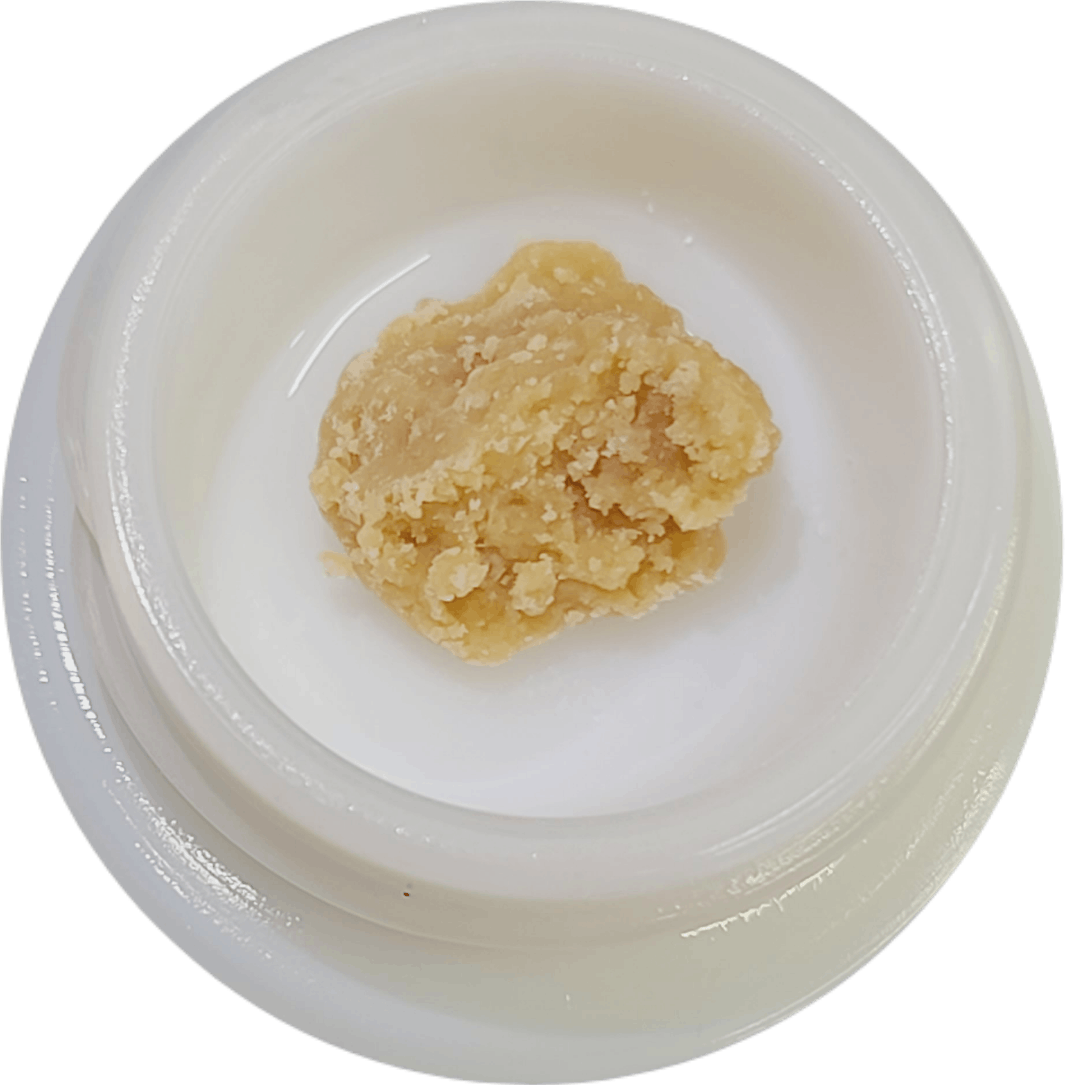 Blueberry Headband - Wax - image 1