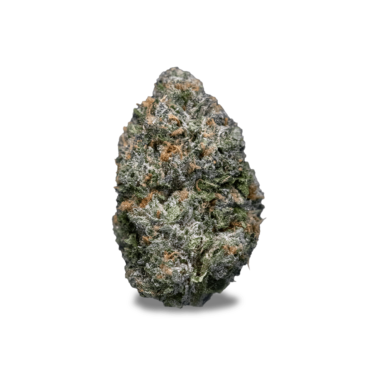 Society C - Apples & Bananas - 1g Pre-roll - image 2