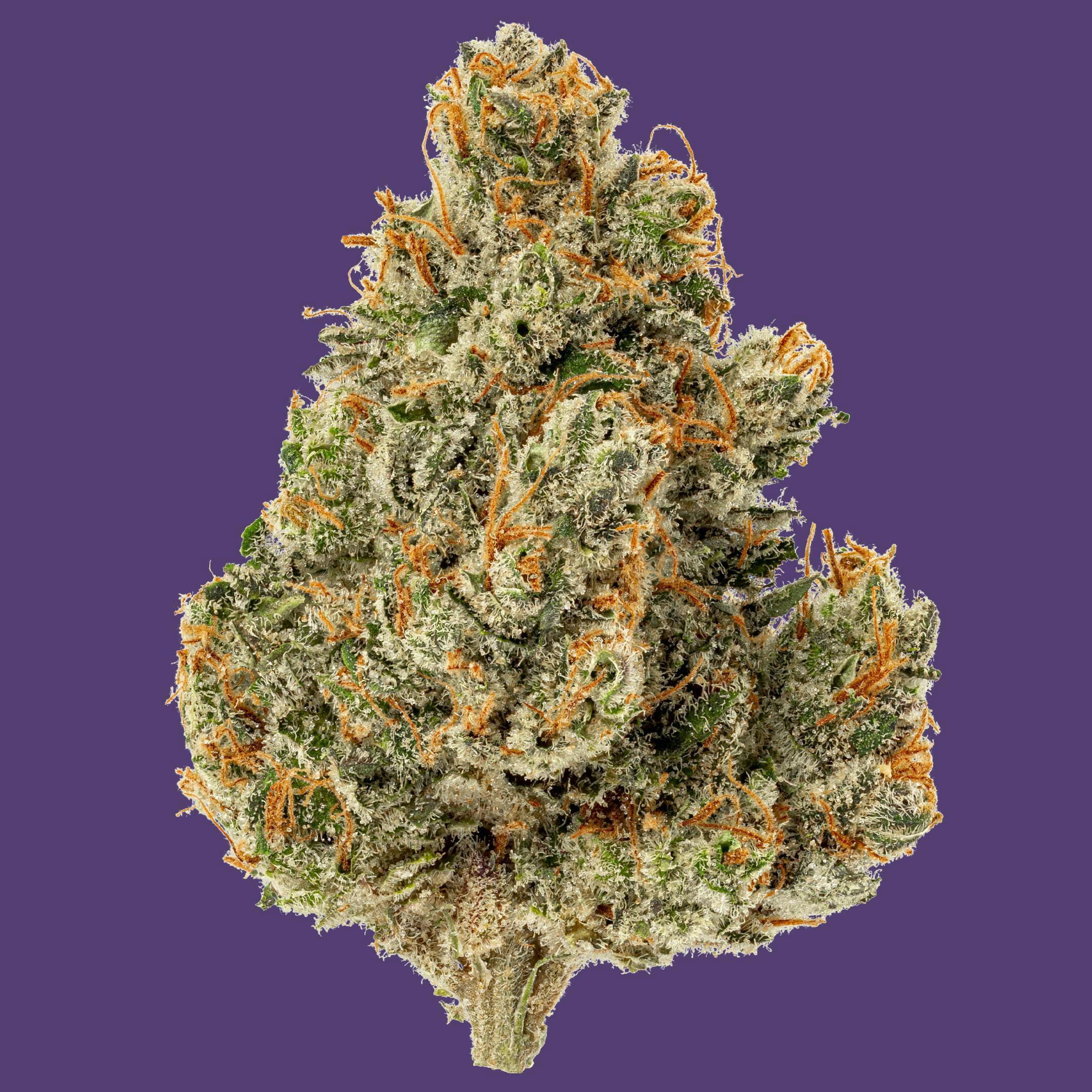 D Haze - image 1