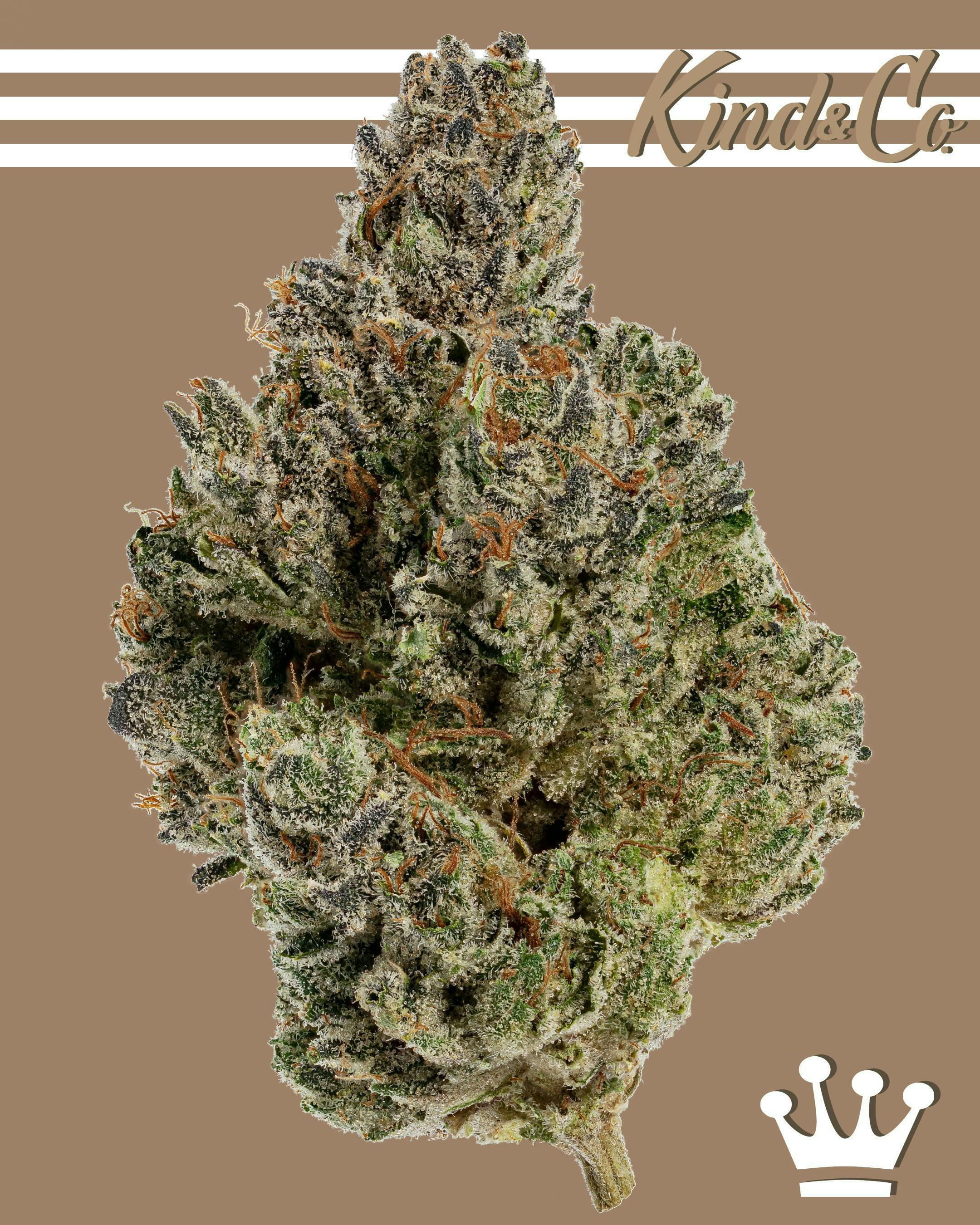 Doc's Zkittlez - image 1