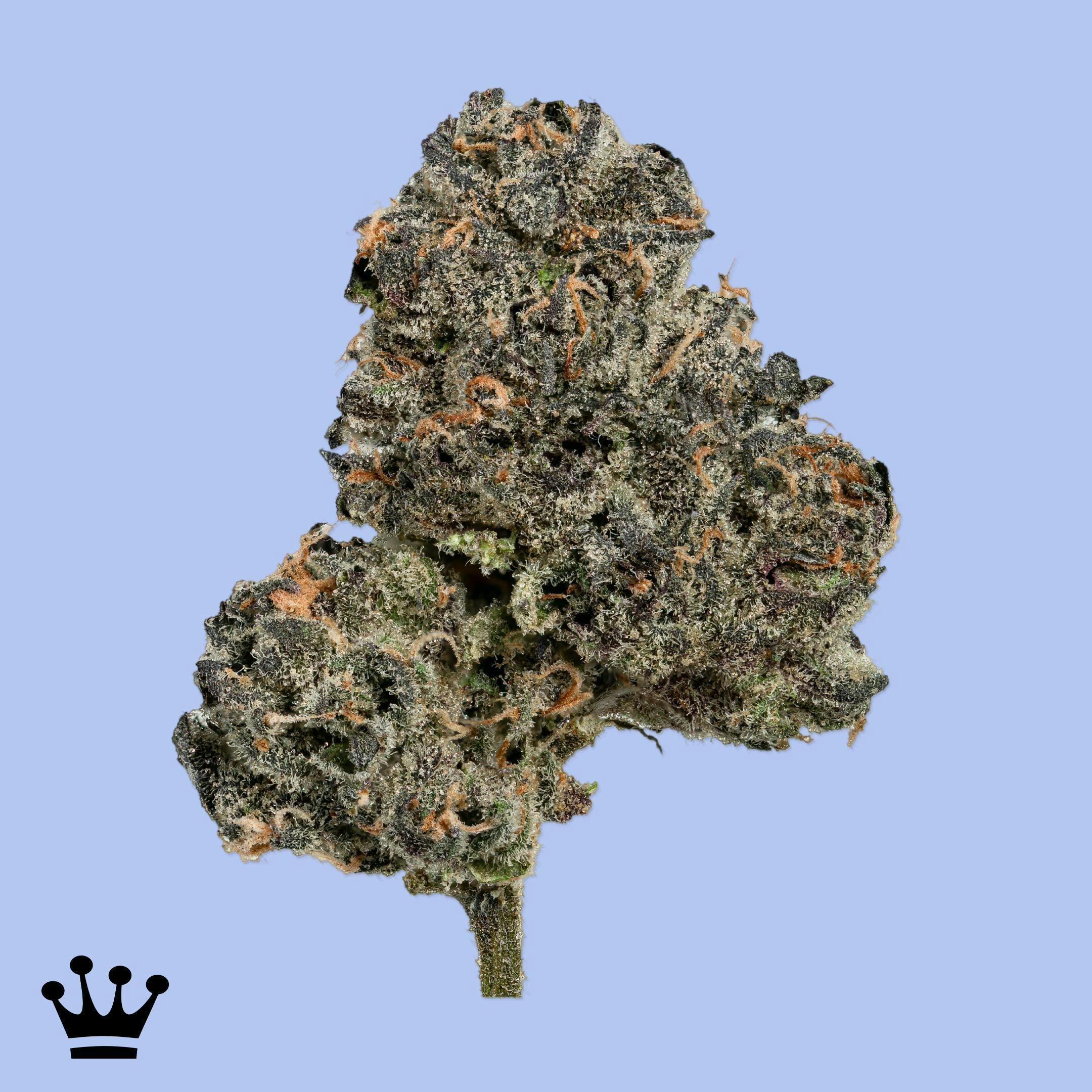 Frosted Banana Bliss - image 1