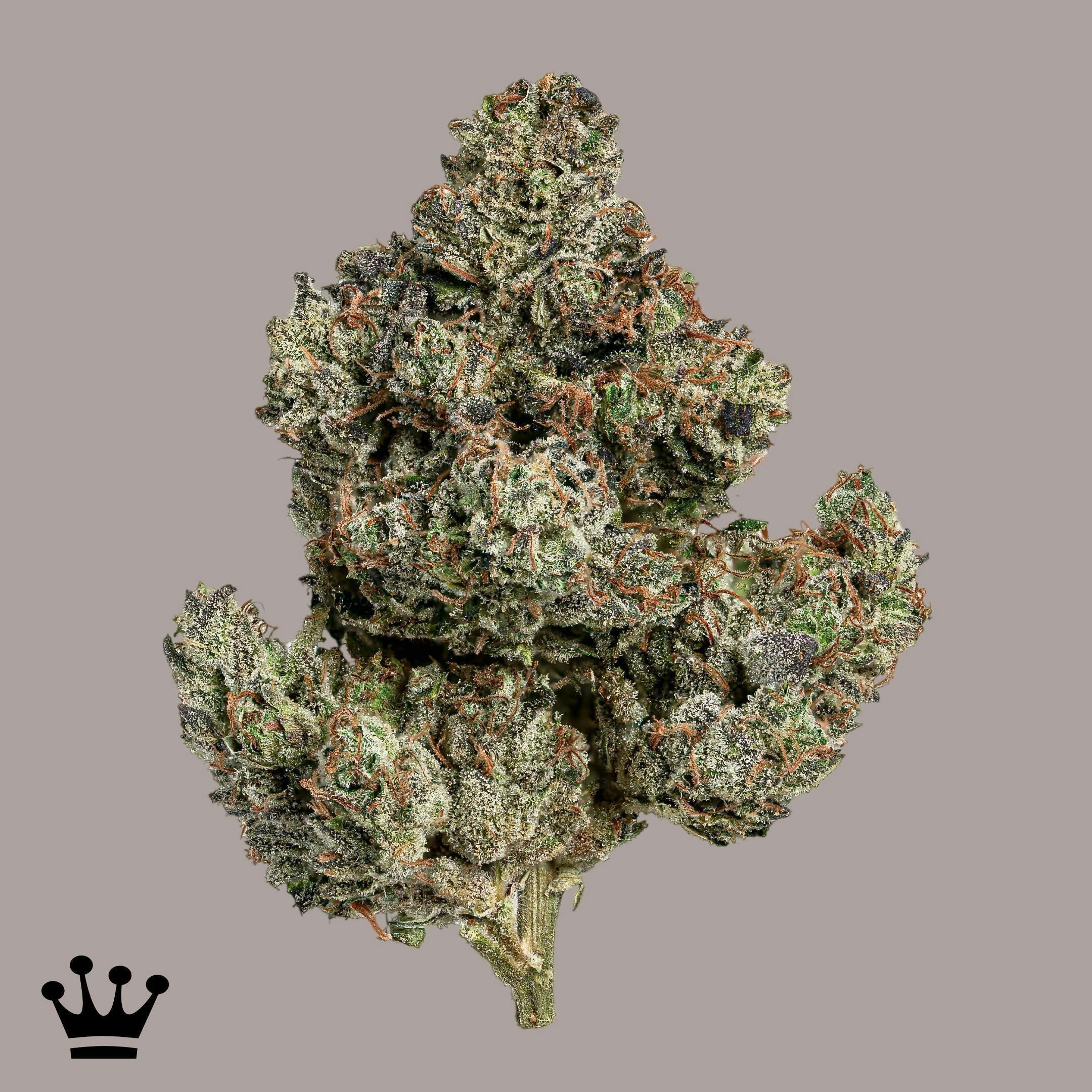 Headbanger - image 1