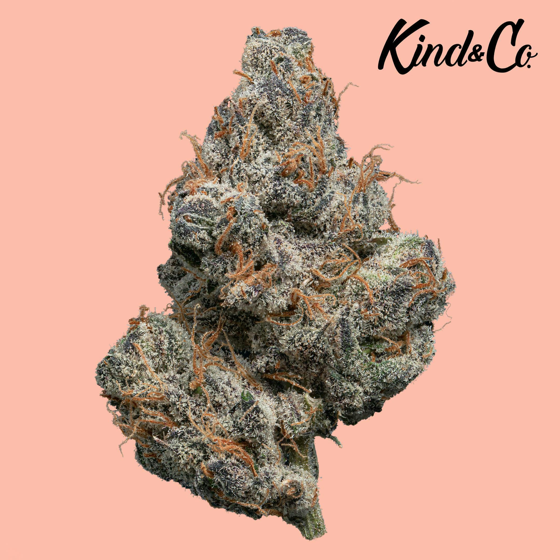 Lemon Cherry Gelato - image 1