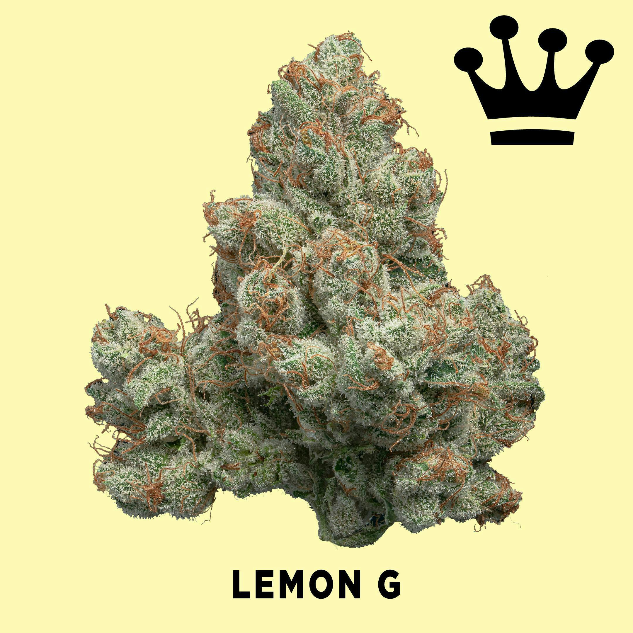 Lemon G - image 1