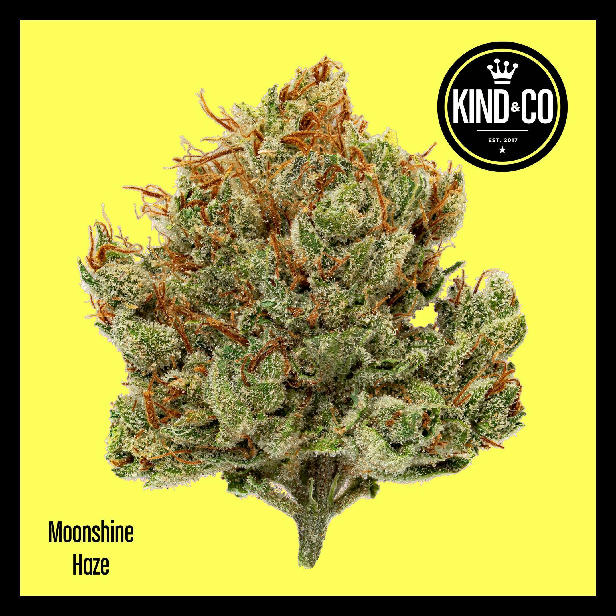 Moonshine Haze - image 1