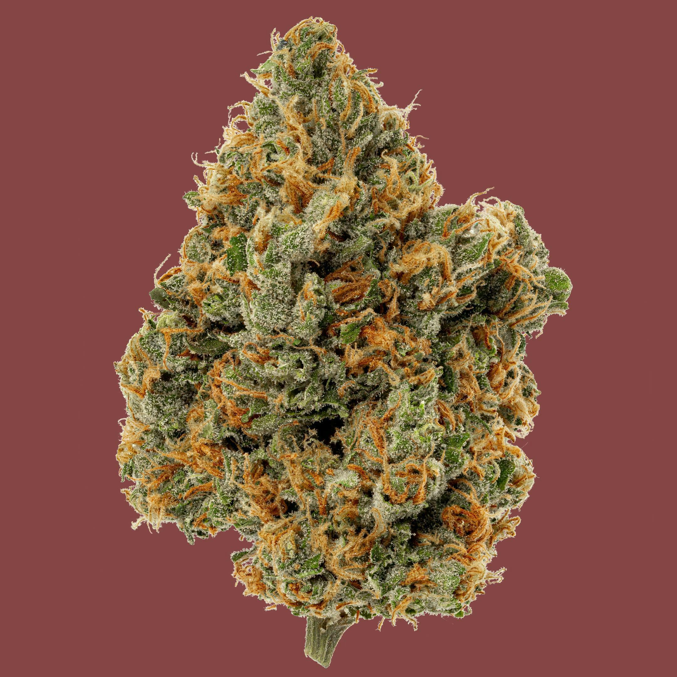 Nigerian Haze - image 1