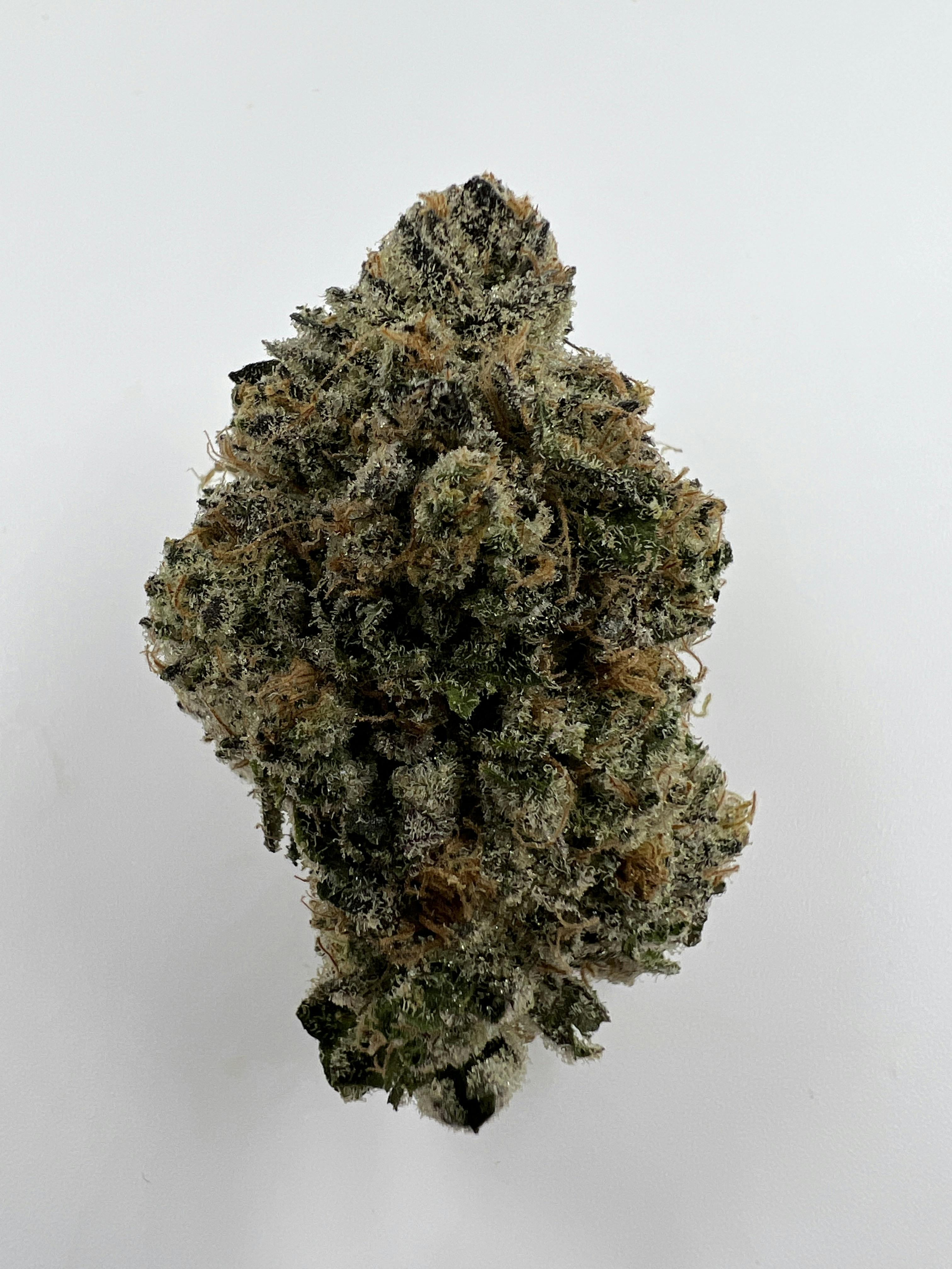 G12 - image 1