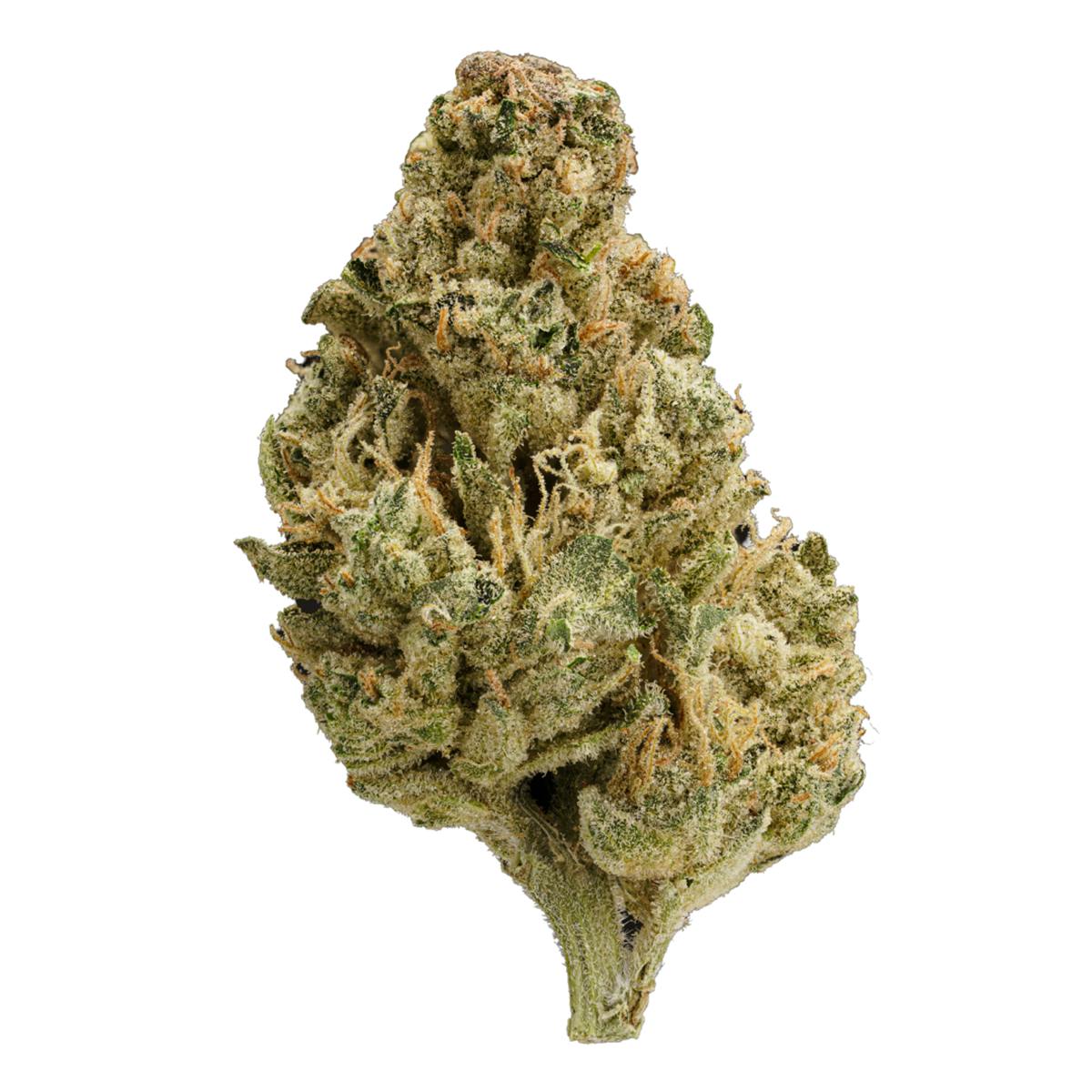 Humo | El Patron Sativa (3.5g) - image 2