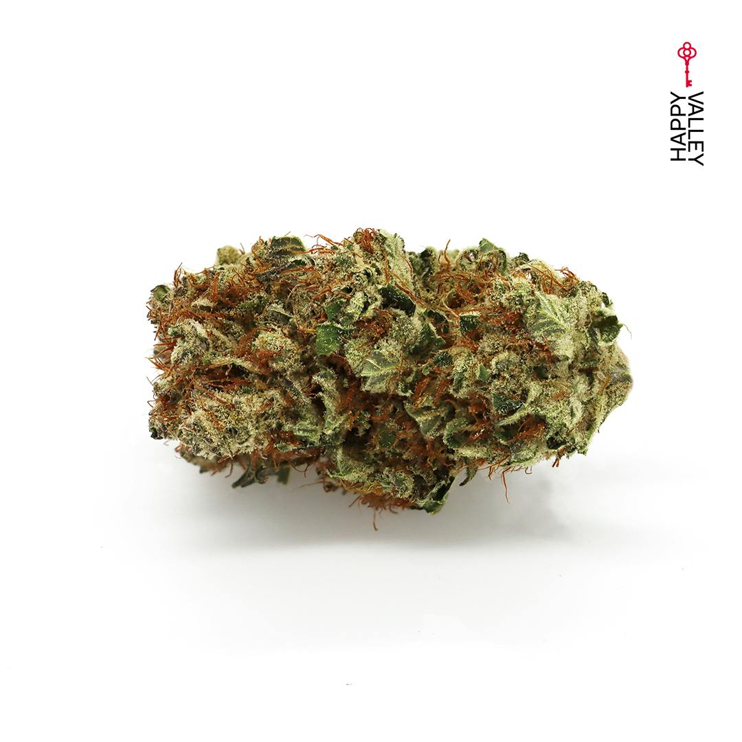 Jasmine Silver Haze - image 2