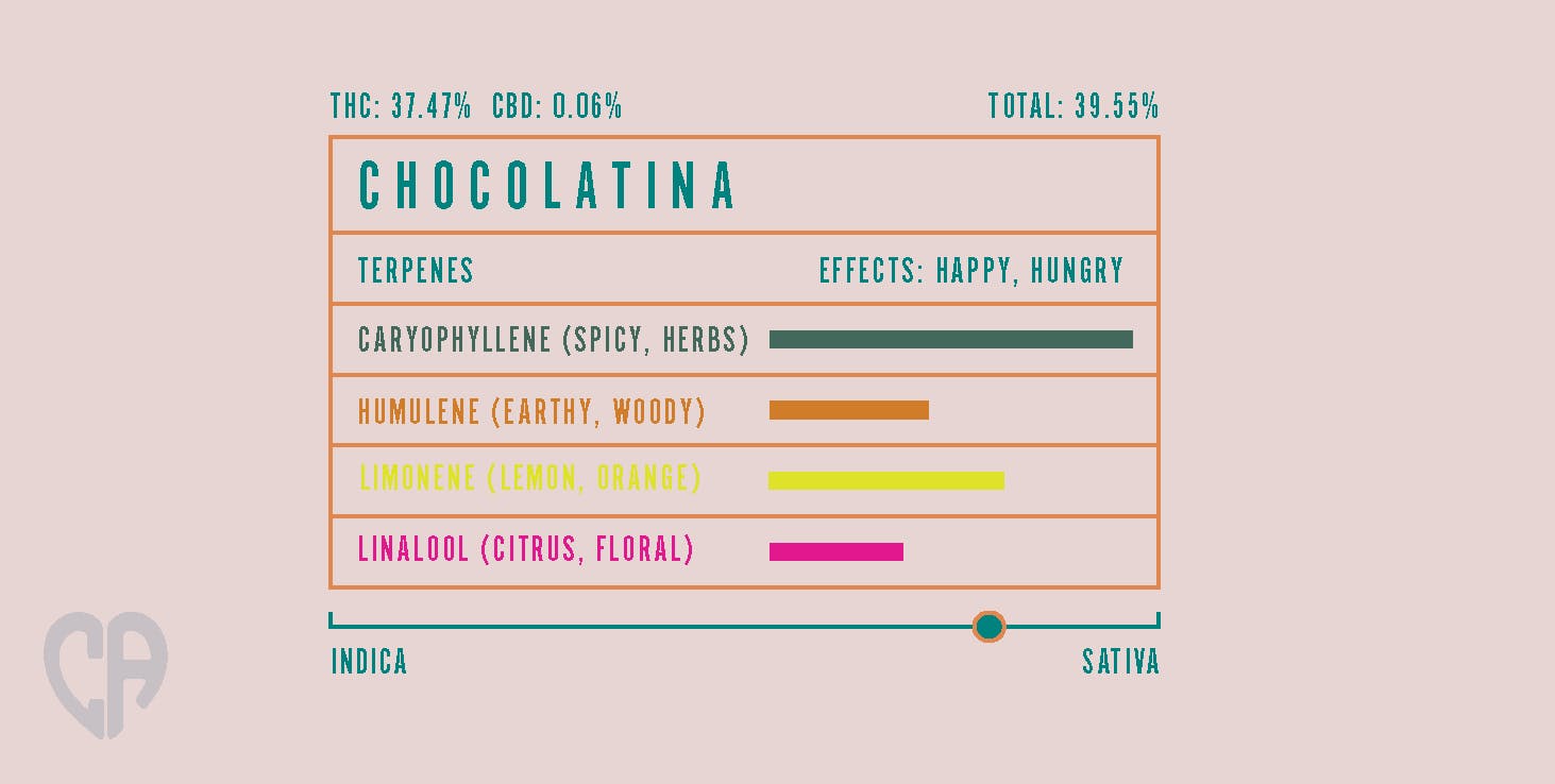 Chocolatina Smalls- 3.5g - image 2