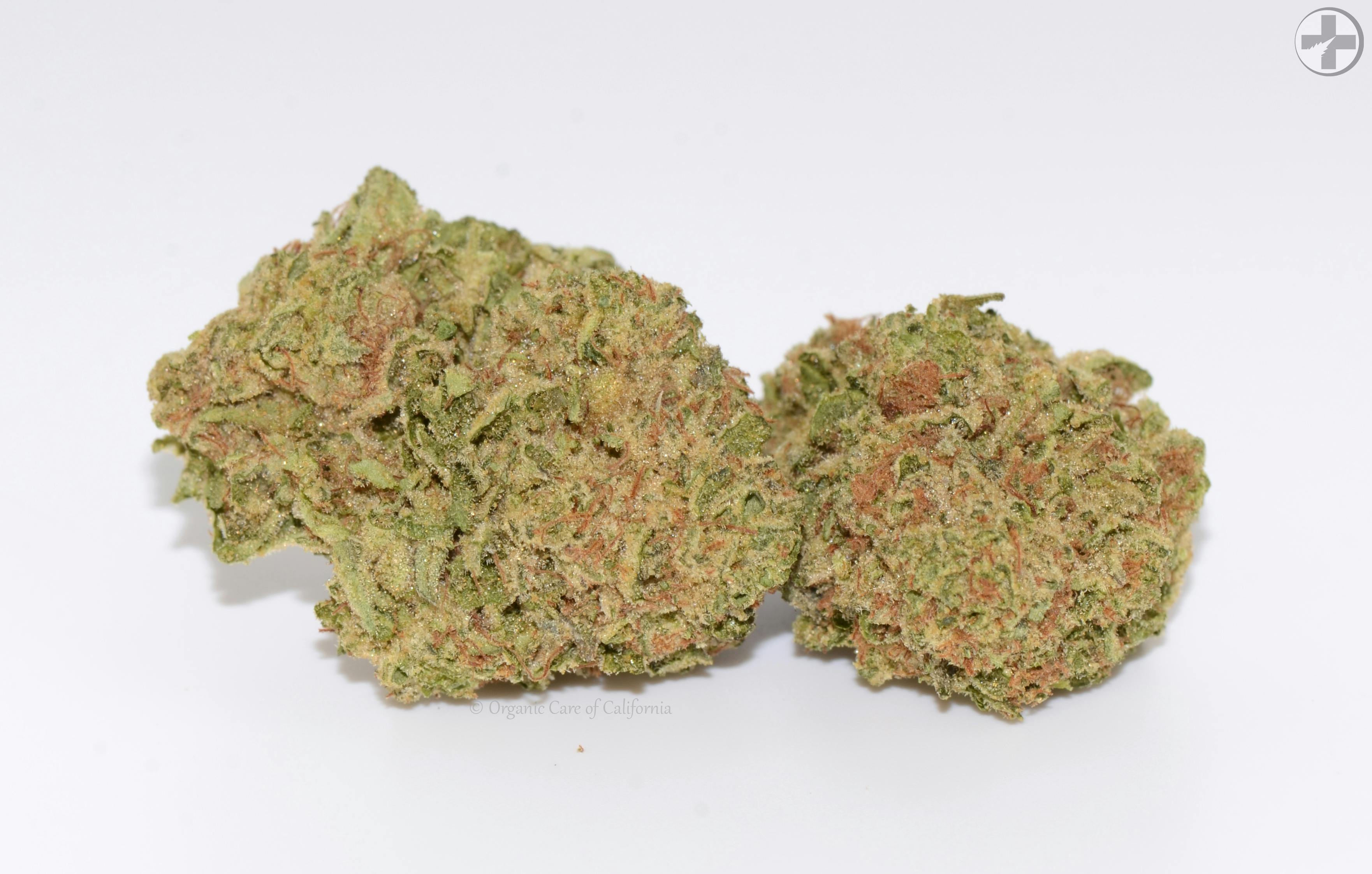 (33%) Georgia Pie (3.5g) HYBRID GREENHOUSE - image 1