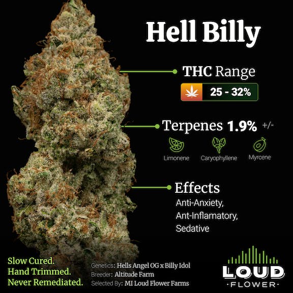Hell Billy - image 2