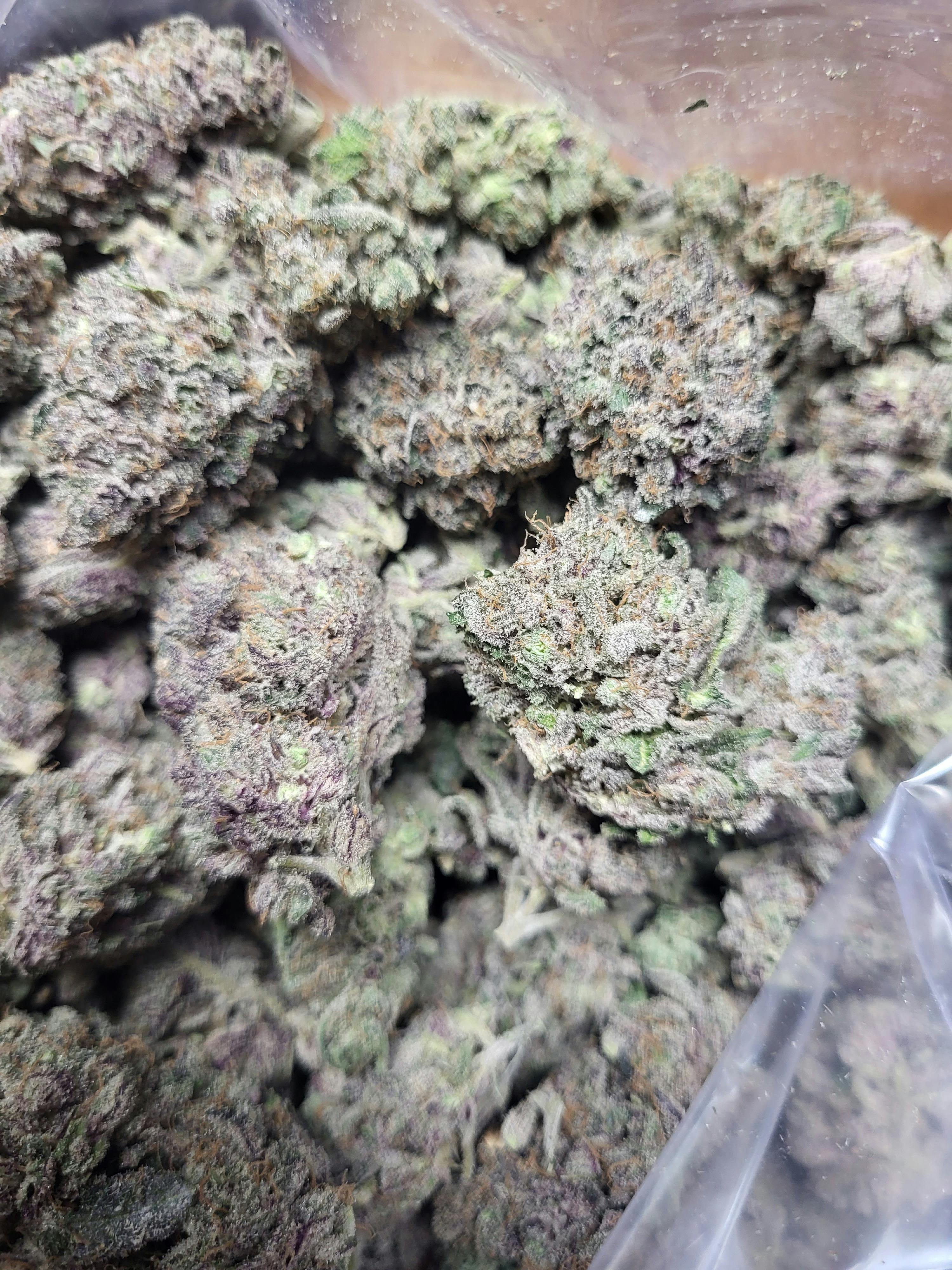 Pure Michigan - image 2