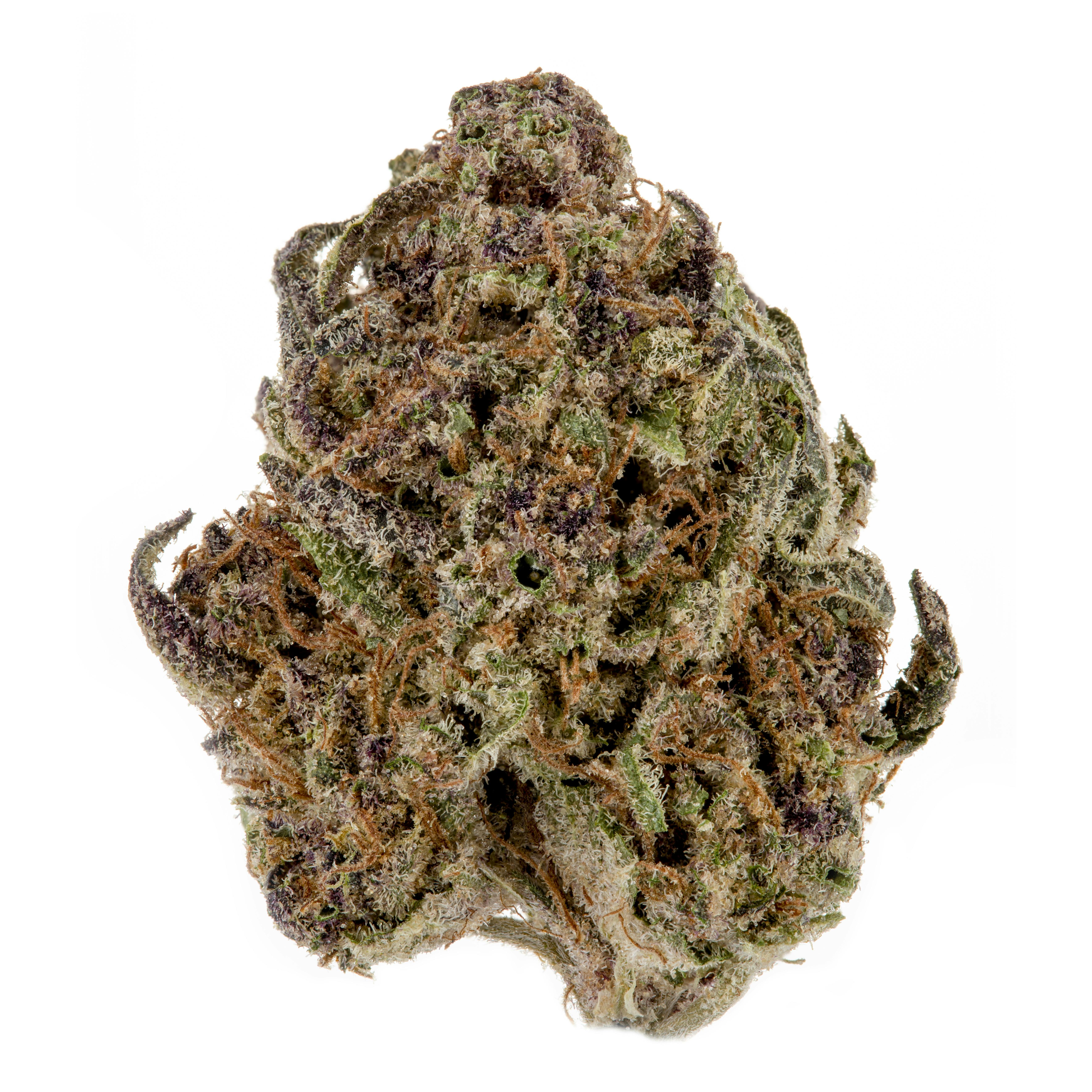 Blackberry Kush - image 1