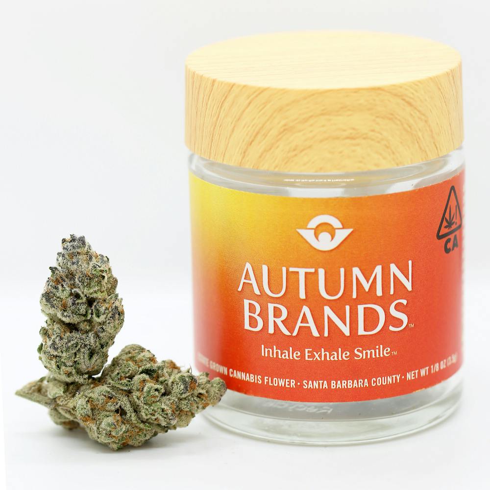 Platinum Mints - image 1