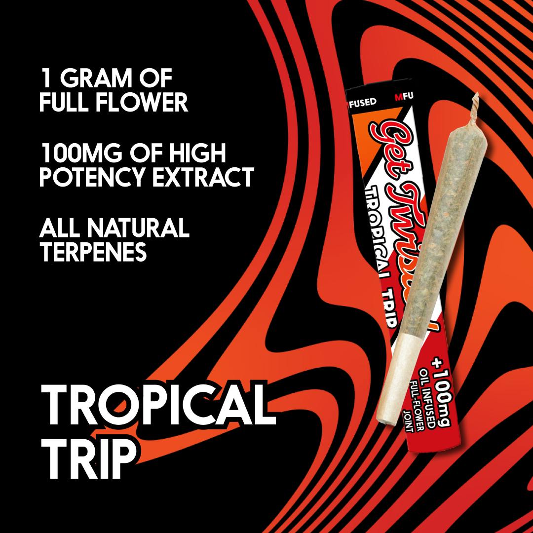 TWISTED Infused Pre-roll: Tropical Trip - image 2
