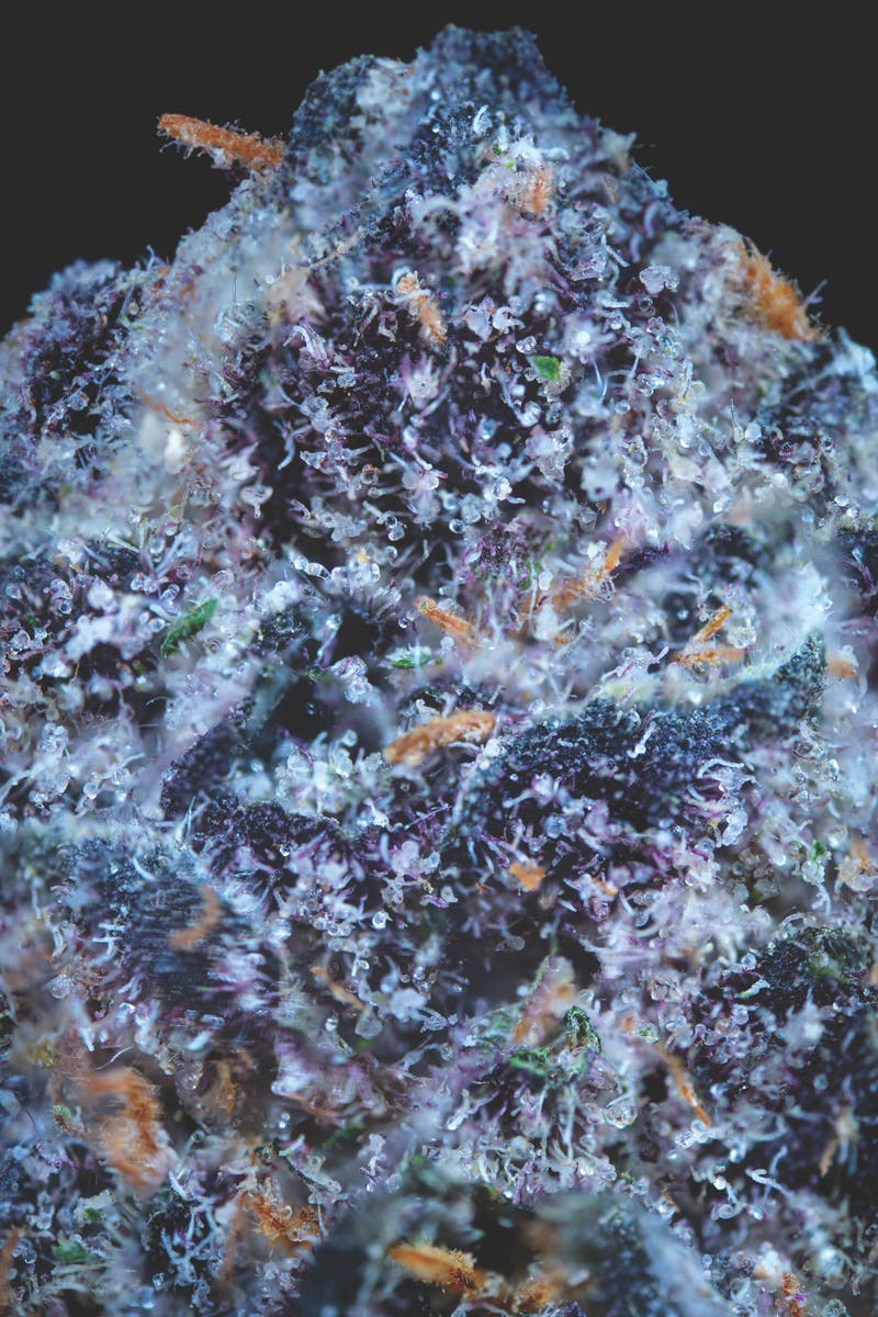 Blaze1 Lemon Cherry Gelato A Jar - image 3