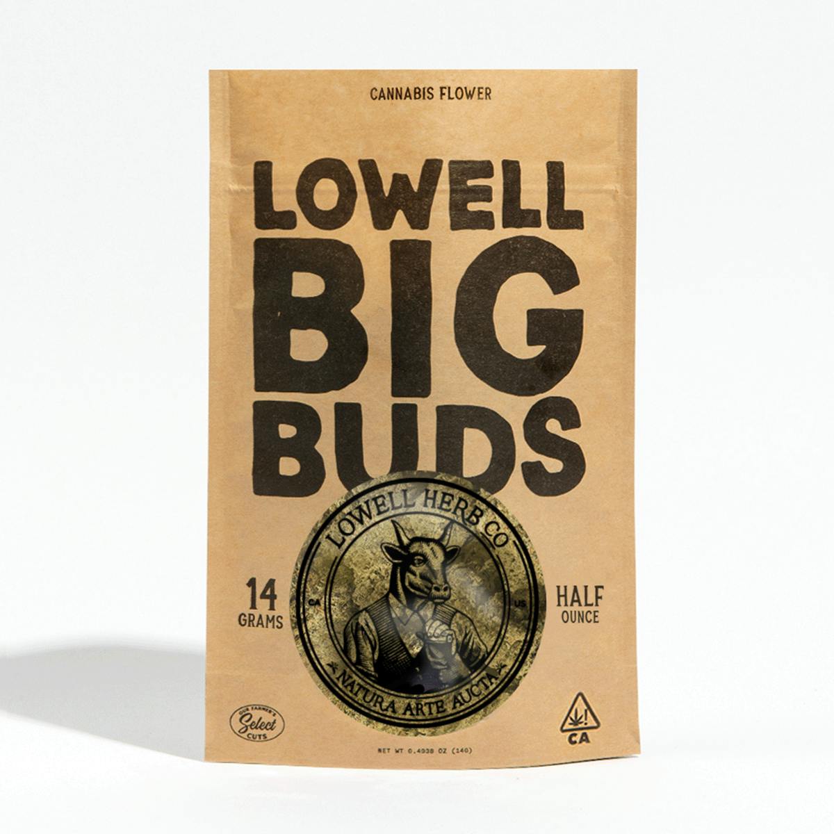 14g BIG BUDS | Chocolate Thaighani | Sativa - image 1