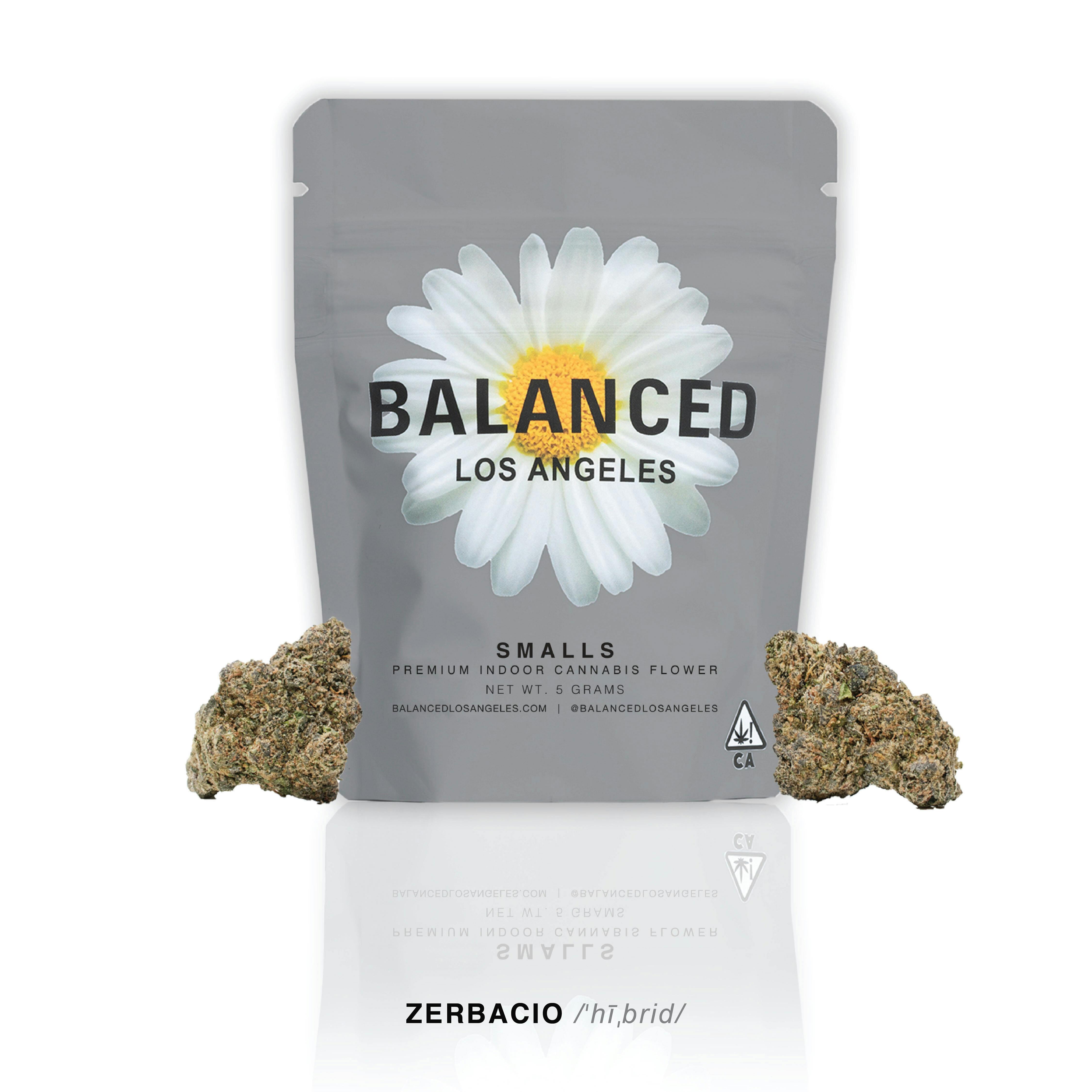 Zerbacio 5G Smalls - image 1
