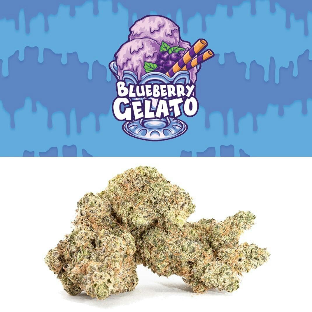 Blueberry Gelato - image 3