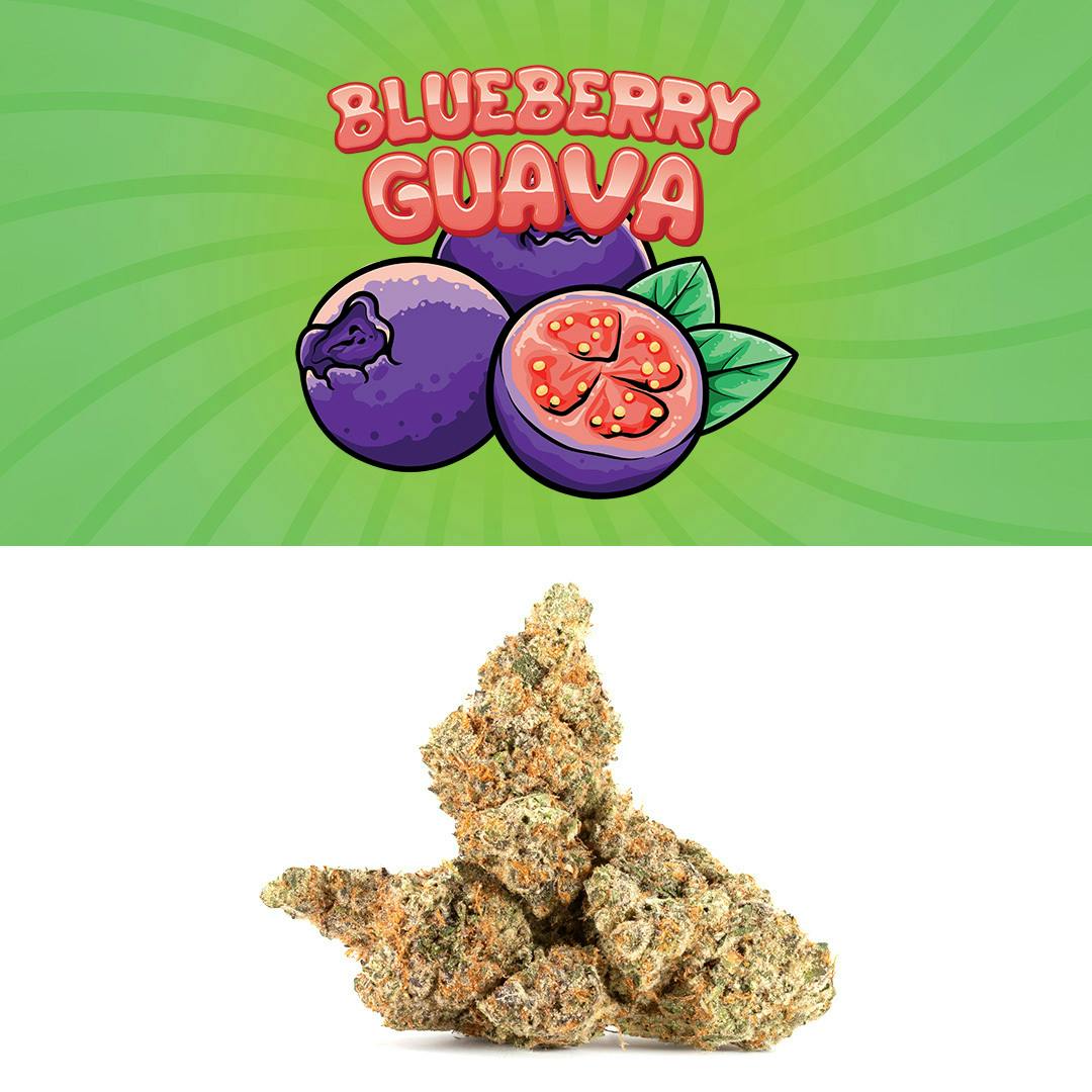 Blueberry Guava - image 3