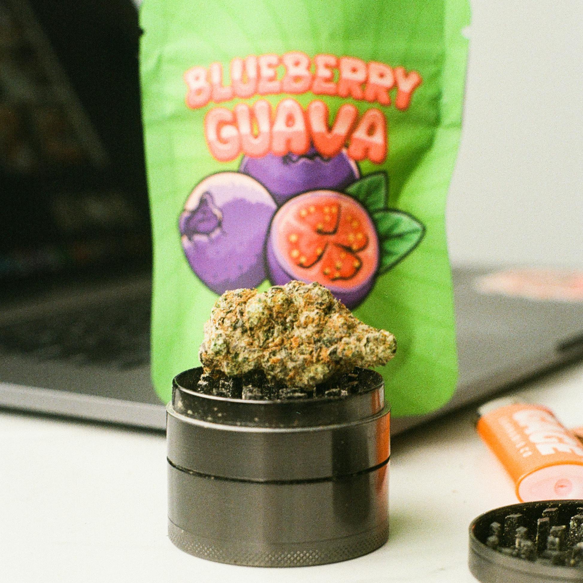 Blueberry Guava - image 1