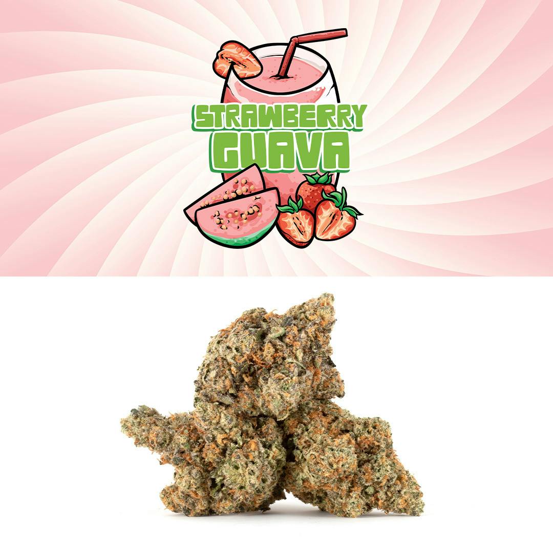 Strawberry Guava - image 2