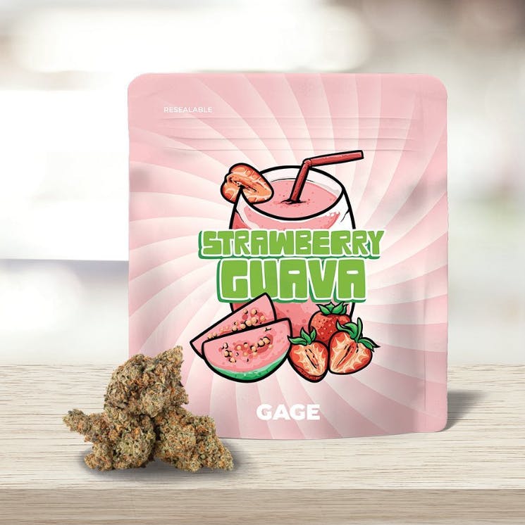 Strawberry Guava - image 1