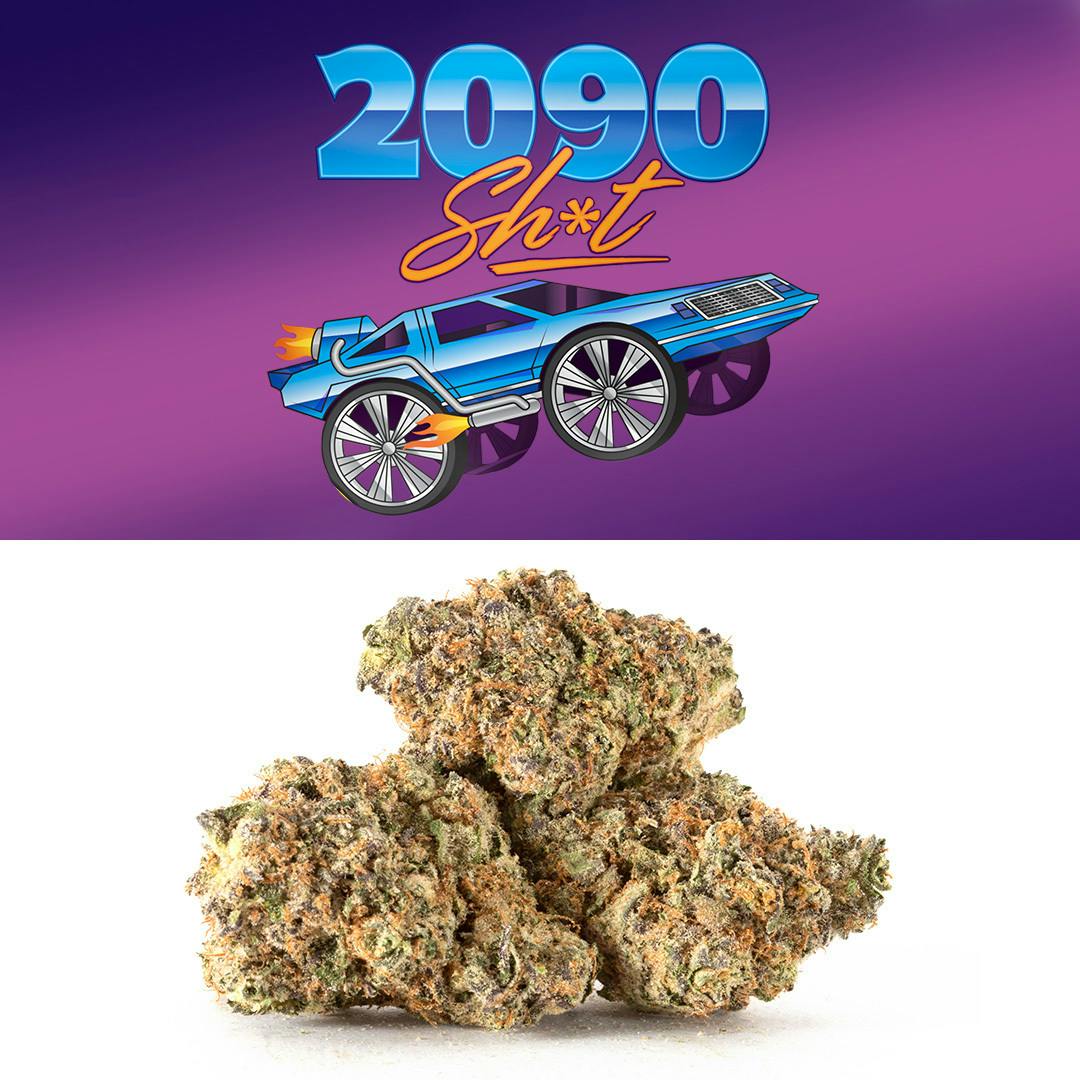 2090 Shit - image 4