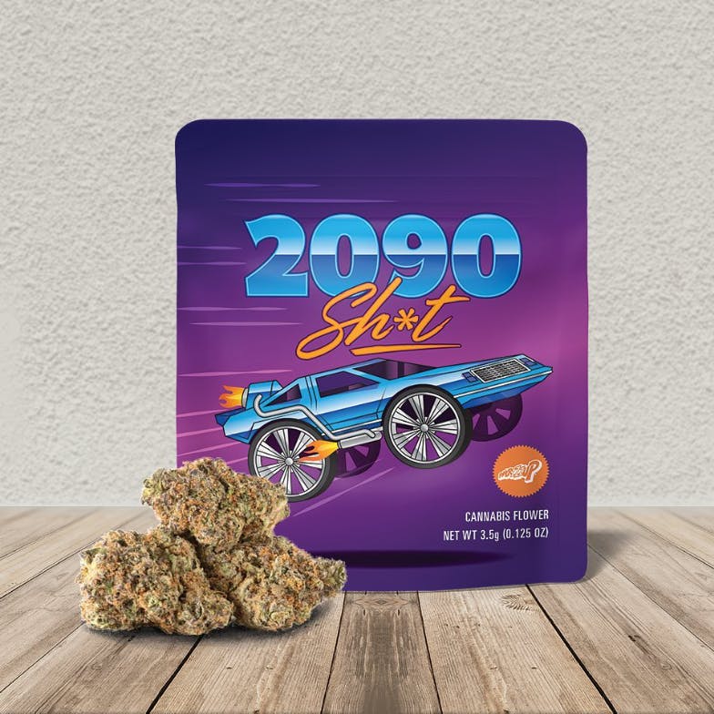 2090 Shit - image 1