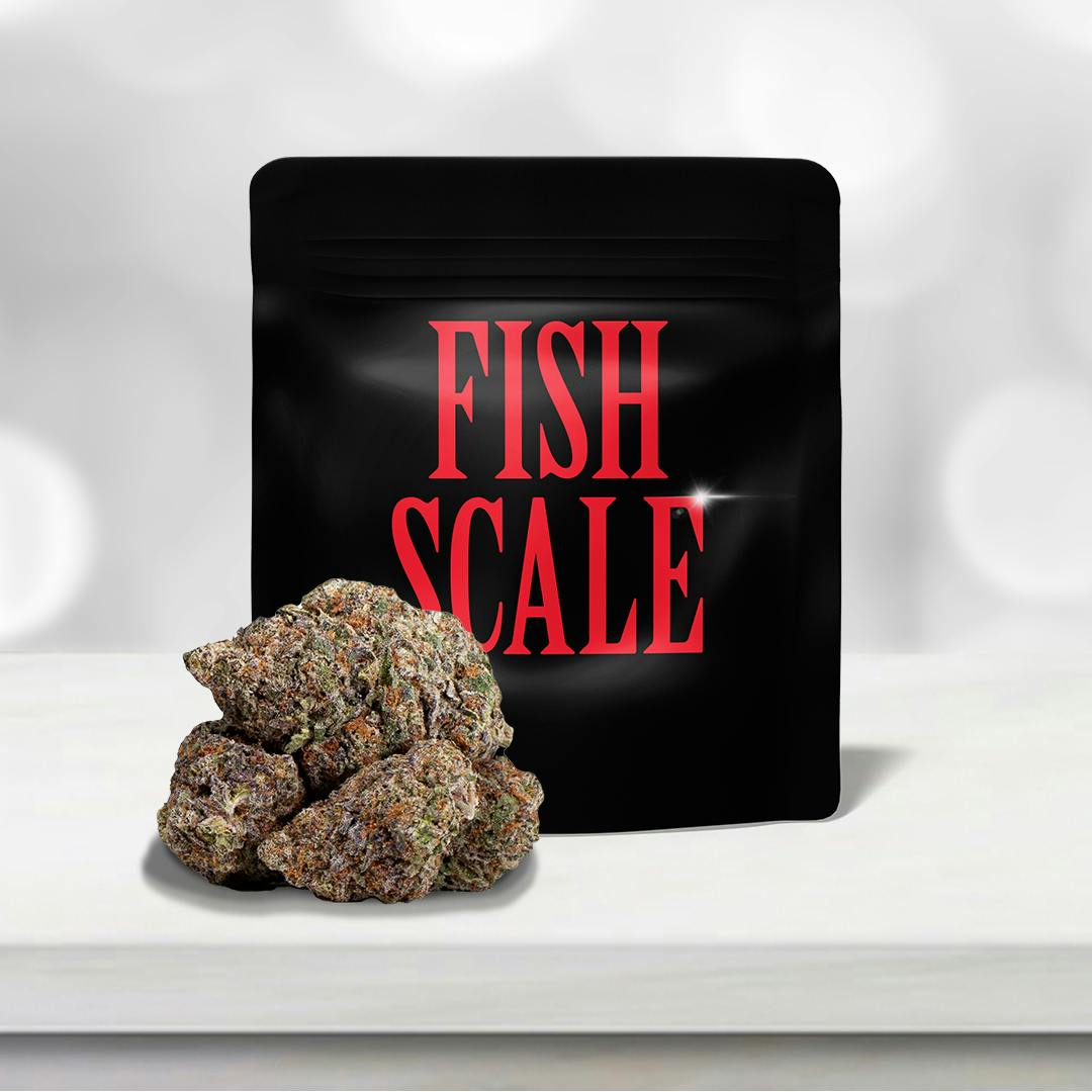 Fish Scale - image 1